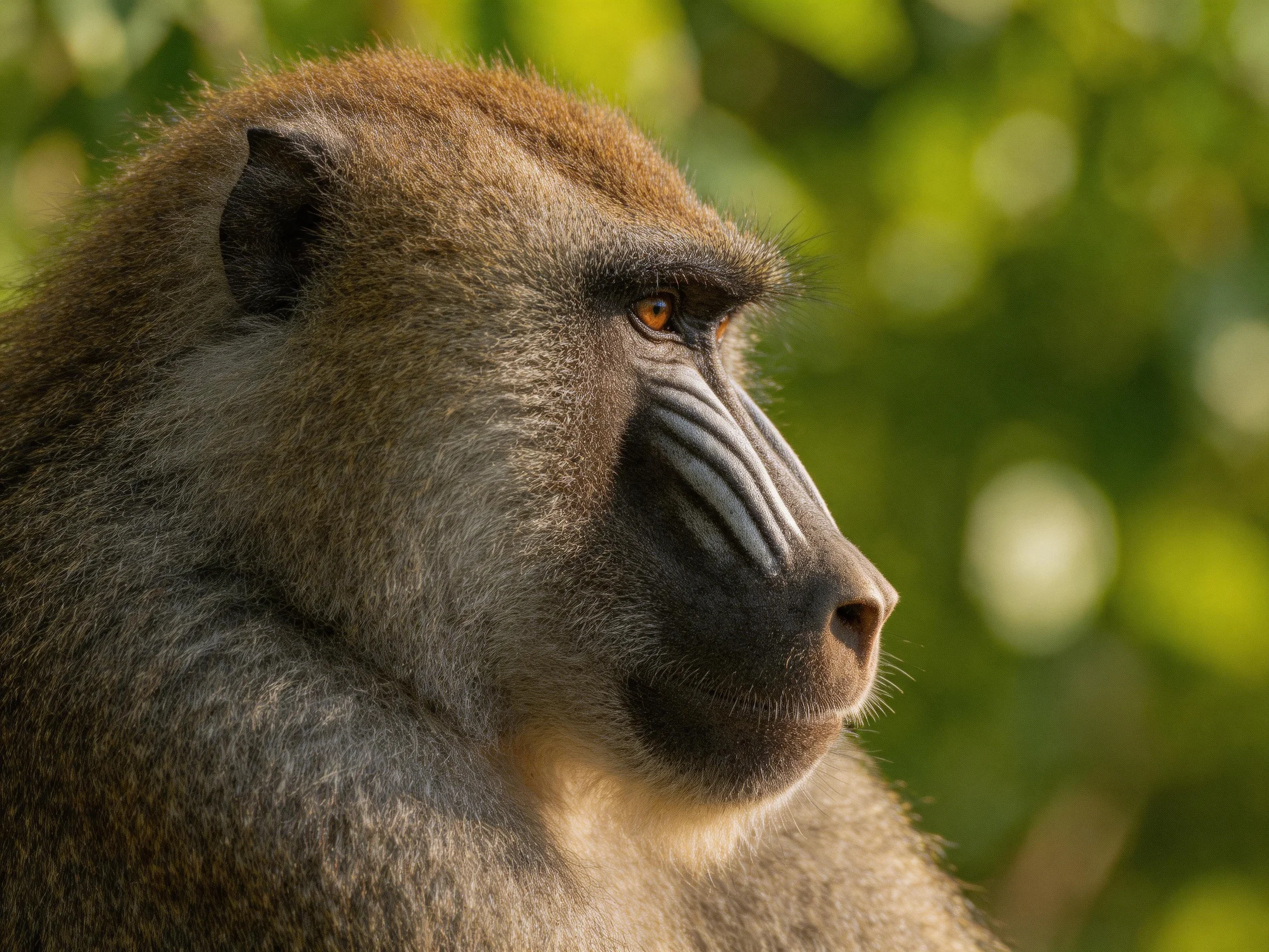 A close - up of a baboon with earthy brown fur amid green foliage