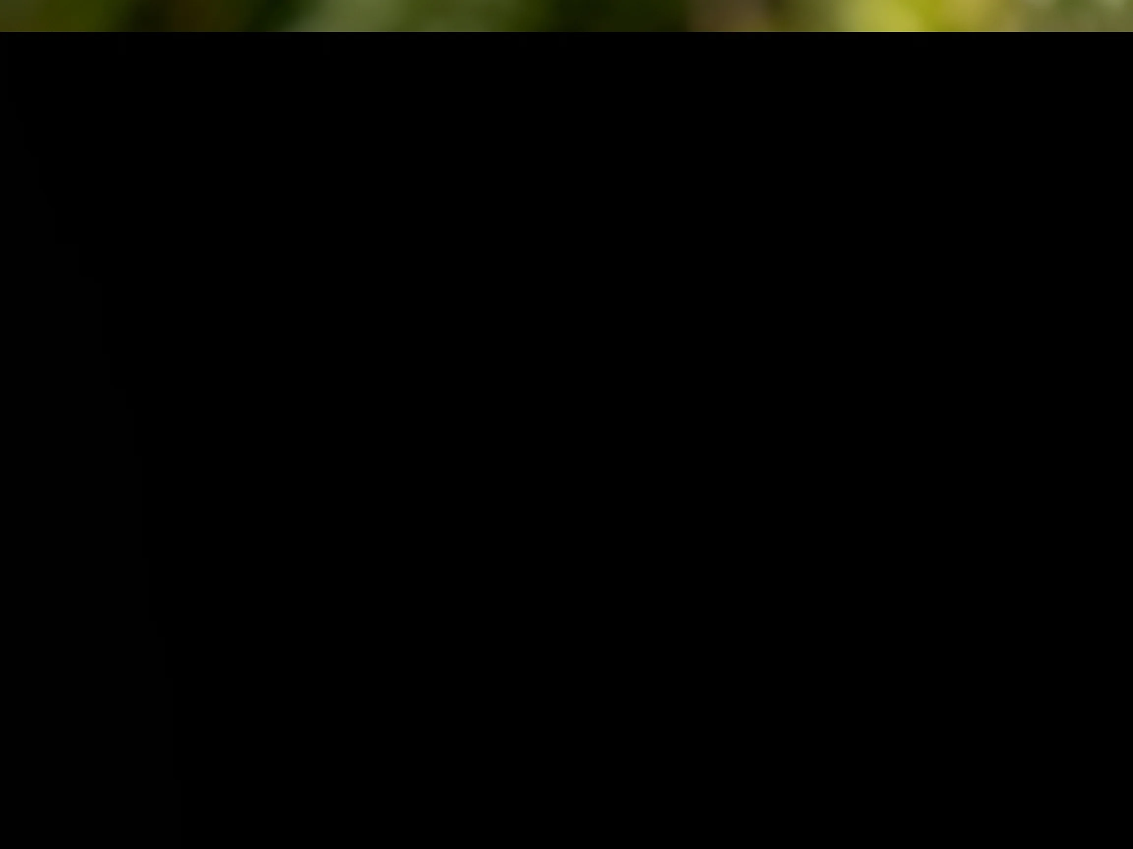 A predominantly black image with subtle green blur near the top