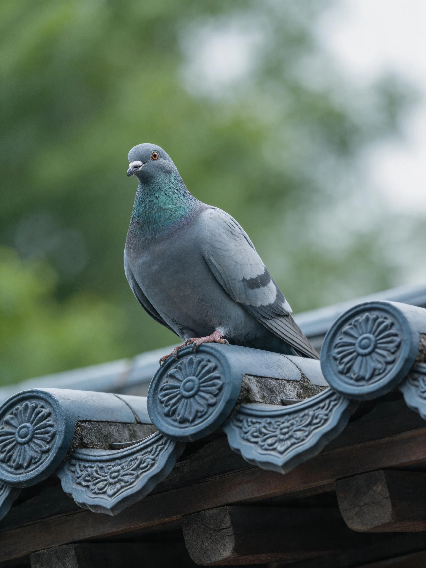 A gray pigeon with teal neck perches on ornate blue roof tiles