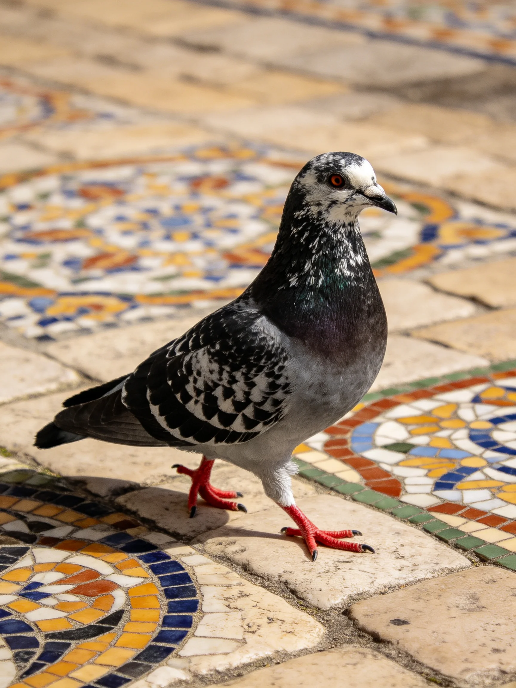 A pigeon with red feet on ornate multicolor mosaic tiles