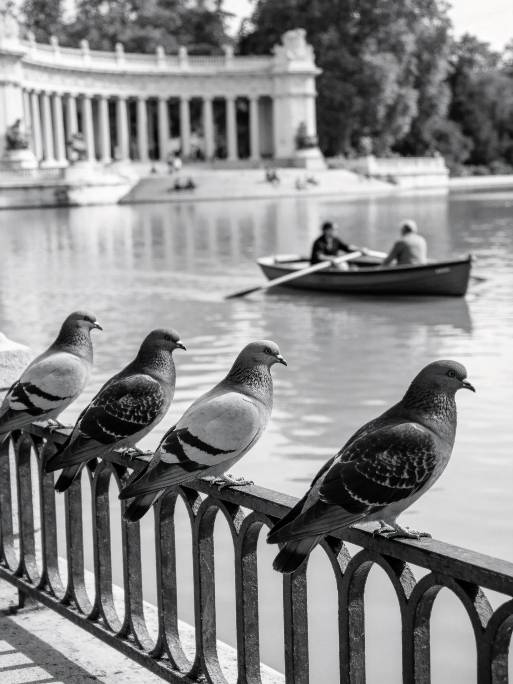 Five pigeons rest on an ornate fence beside a boat with two people rowing