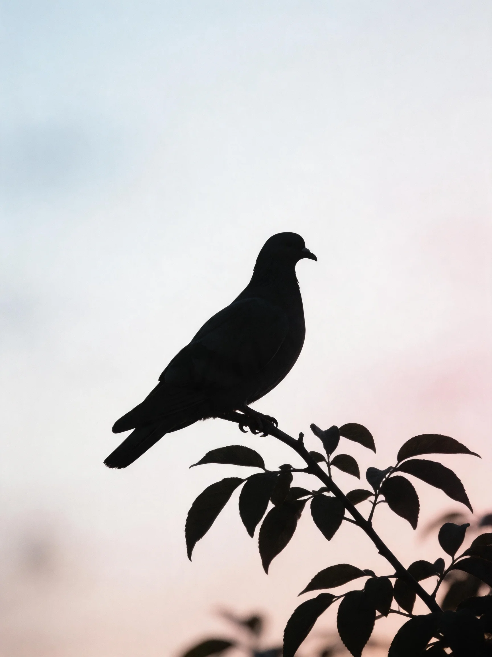 Silhouette of a bird on a leafy branch with pastel sky