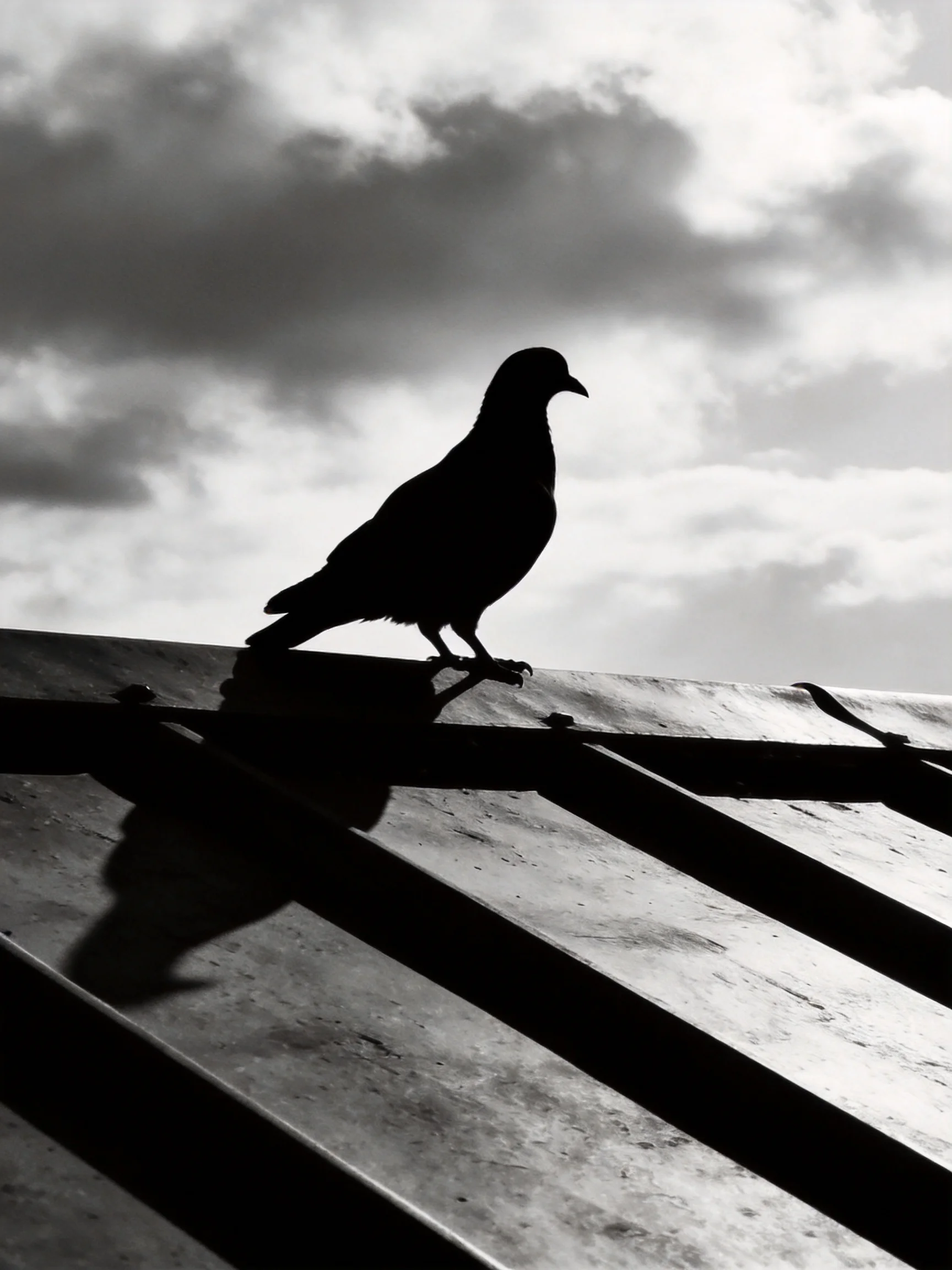 Silhouetted Pigeon Perched on Textured Roof Under Cloudy Sky