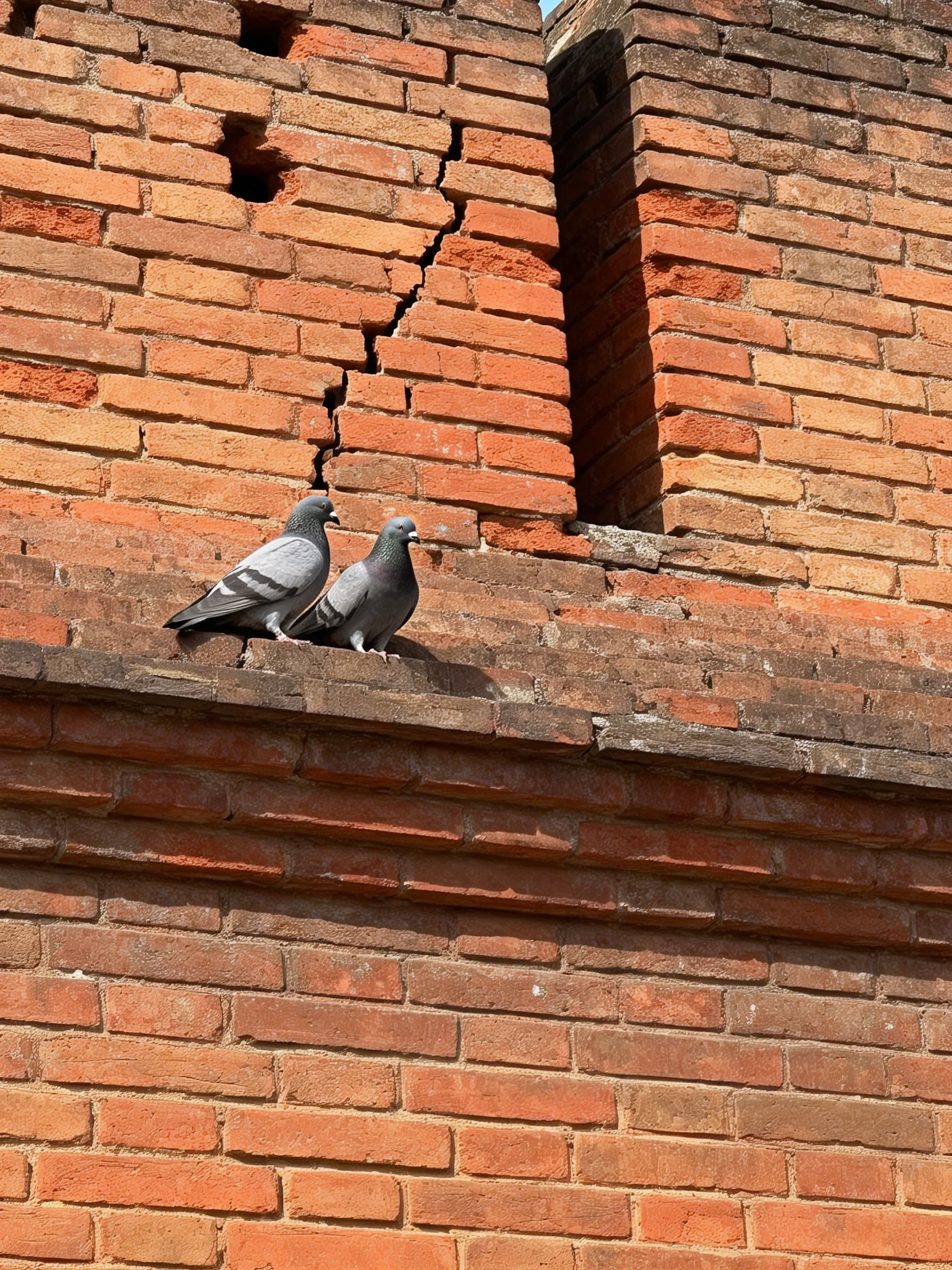 Two gray pigeons sit on an aged red-brick structure with cracks