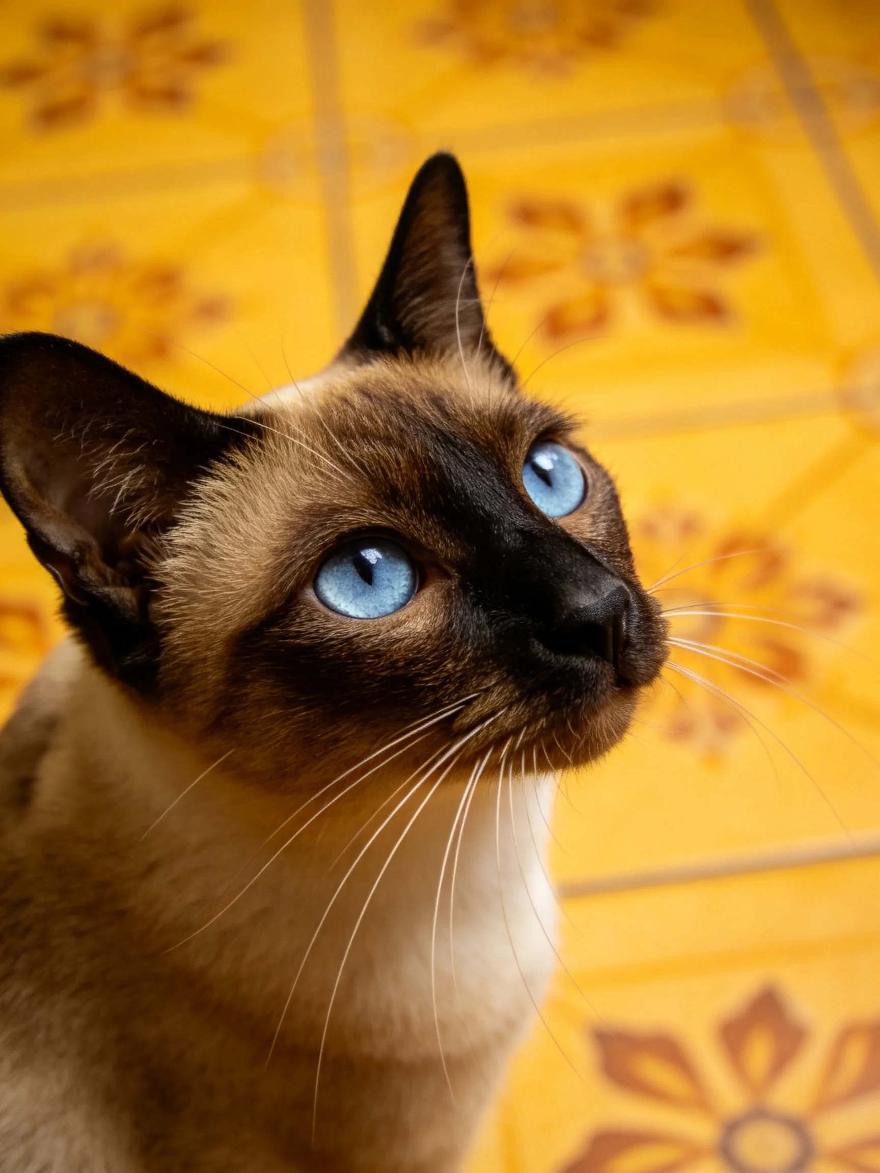 A Siamese cat with bright blue eyes sits near yellow patterned tiles.