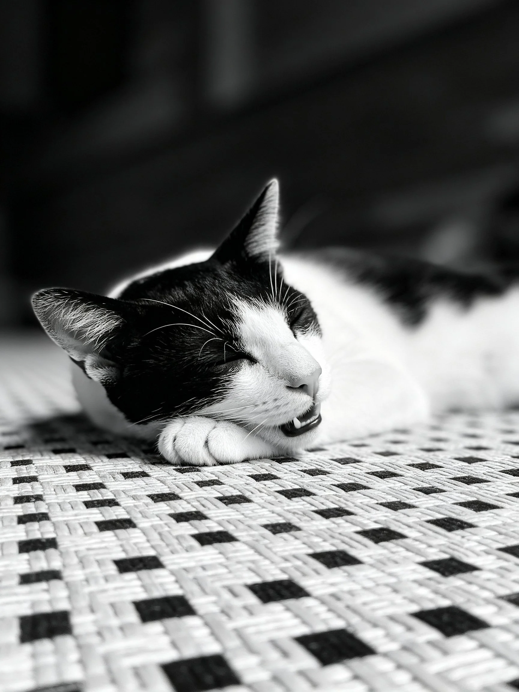 A black - and - white cat lies on a checkered woven mat