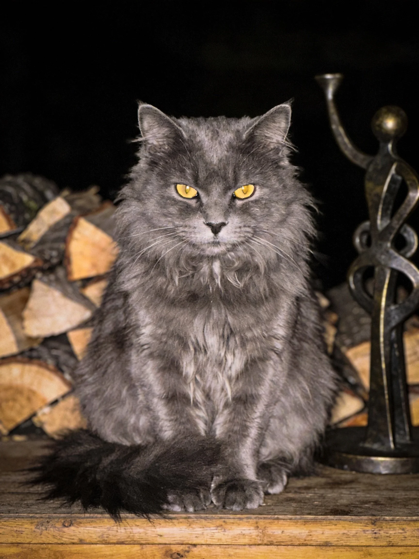 A fluffy gray cat with yellow eyes sits beside stacked firewood in a dark setting.