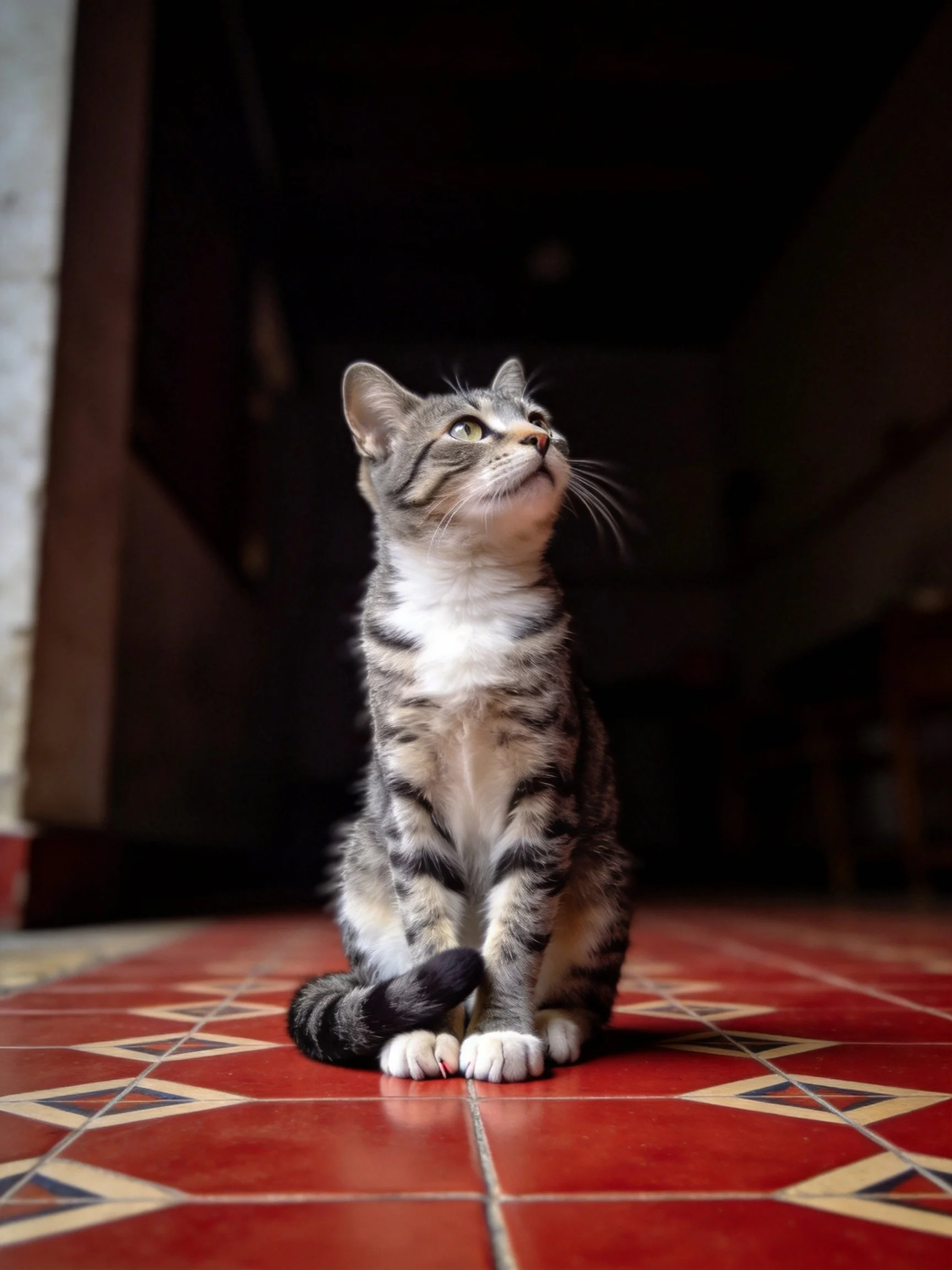 A gray tabby cat sits on patterned red tiles near a dark doorway