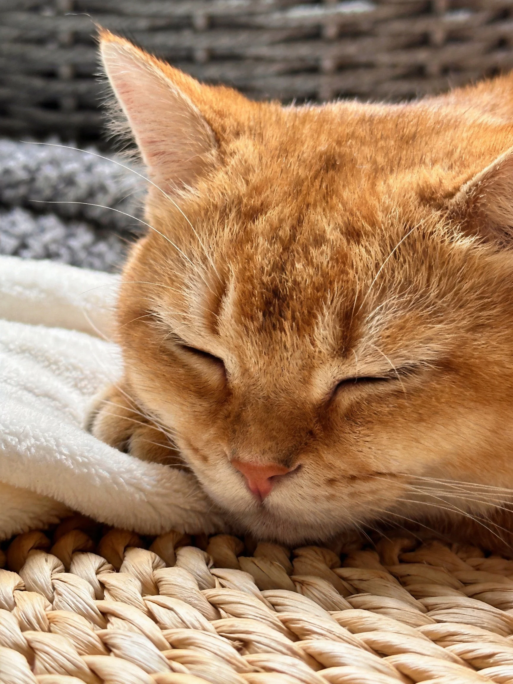 A relaxed orange cat naps on a woven mat with soft towels
