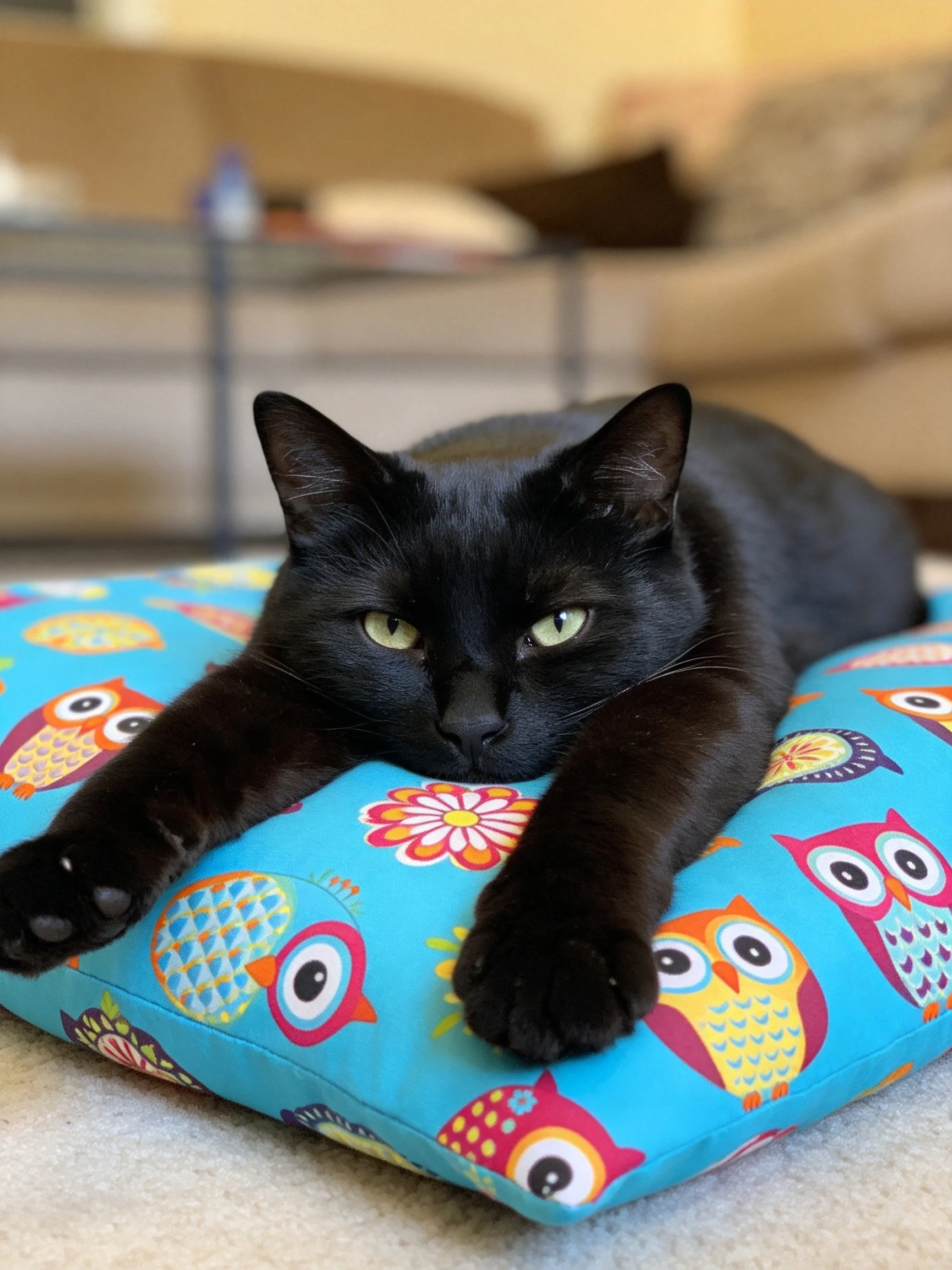 A sleek black cat rests on a vibrant owl-patterned cushion