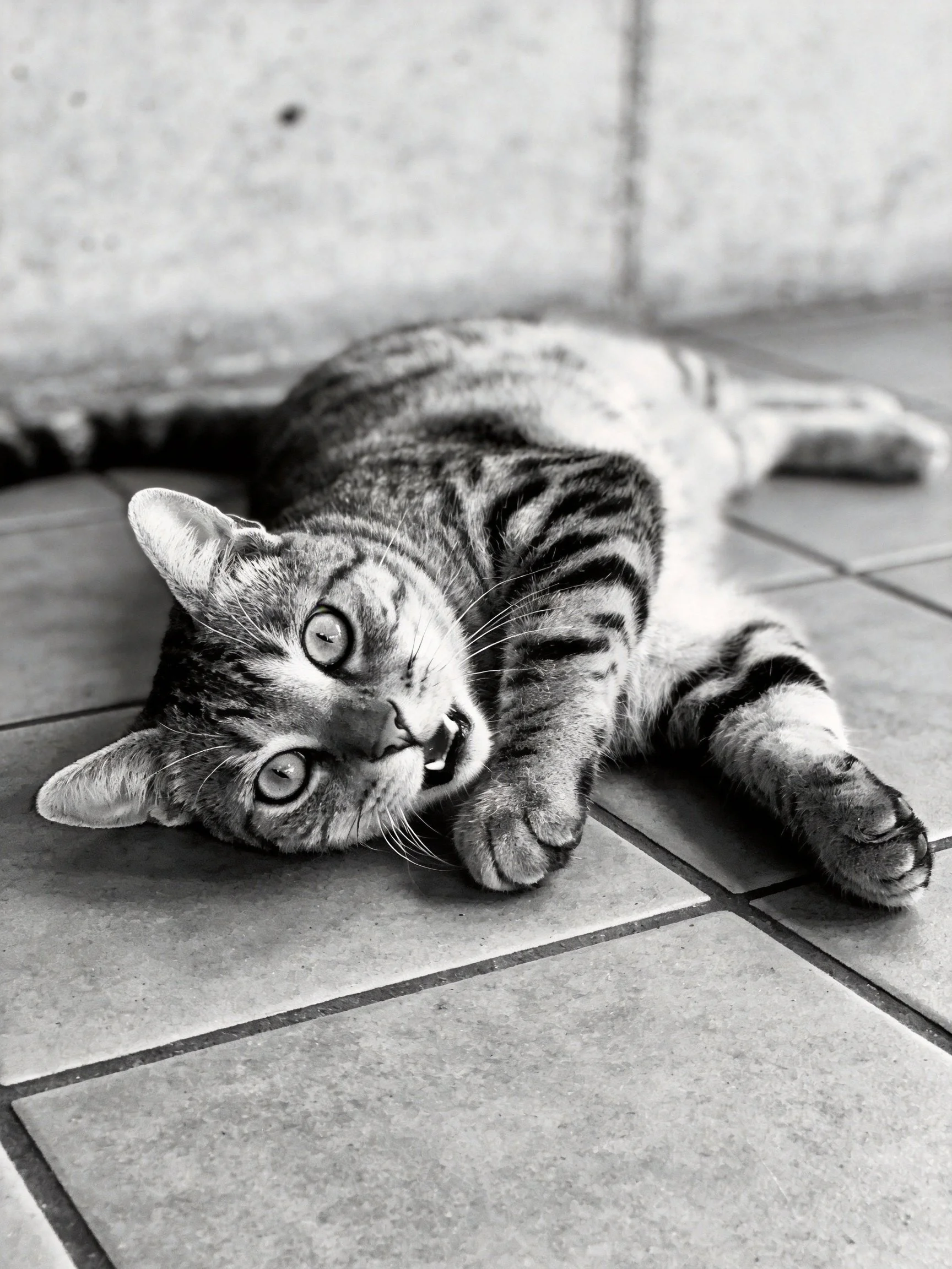 A tabby cat lounging on tiled flooring in monochrome