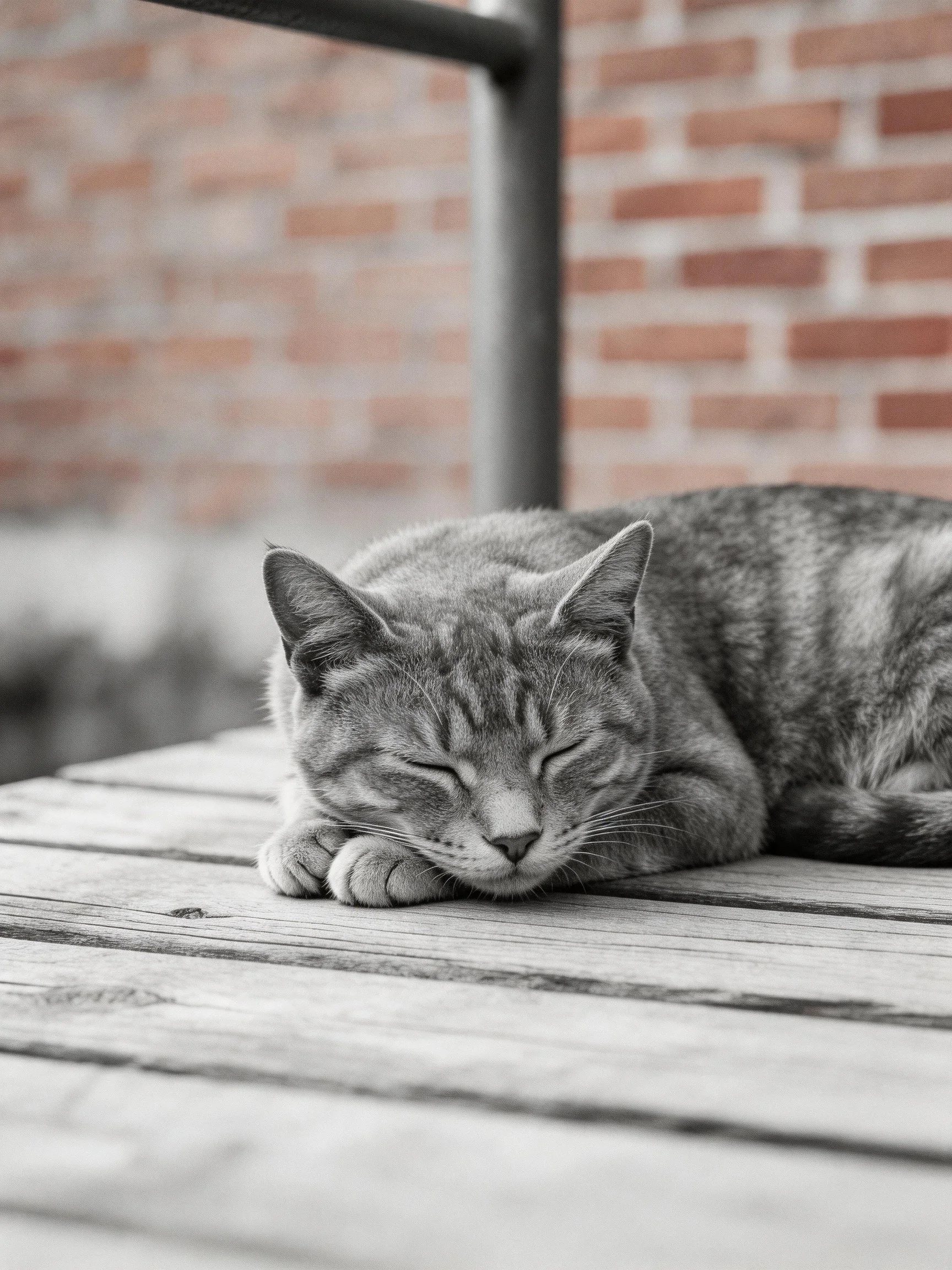 A tabby cat sleeps on a wooden deck near a brick wall
