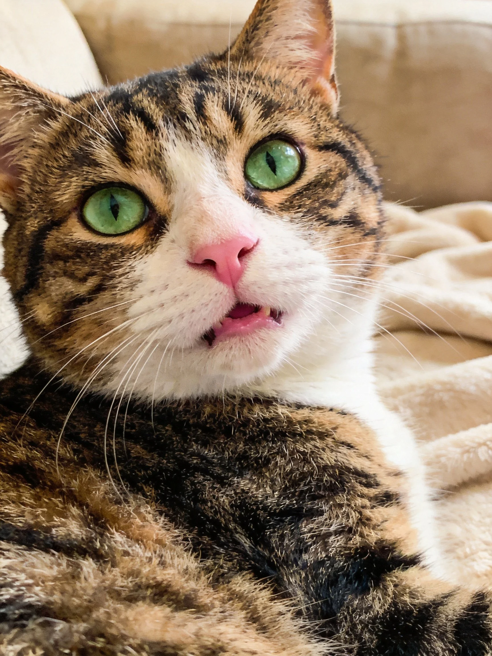 A tabby cat with bright green eyes rests on a beige blanket.