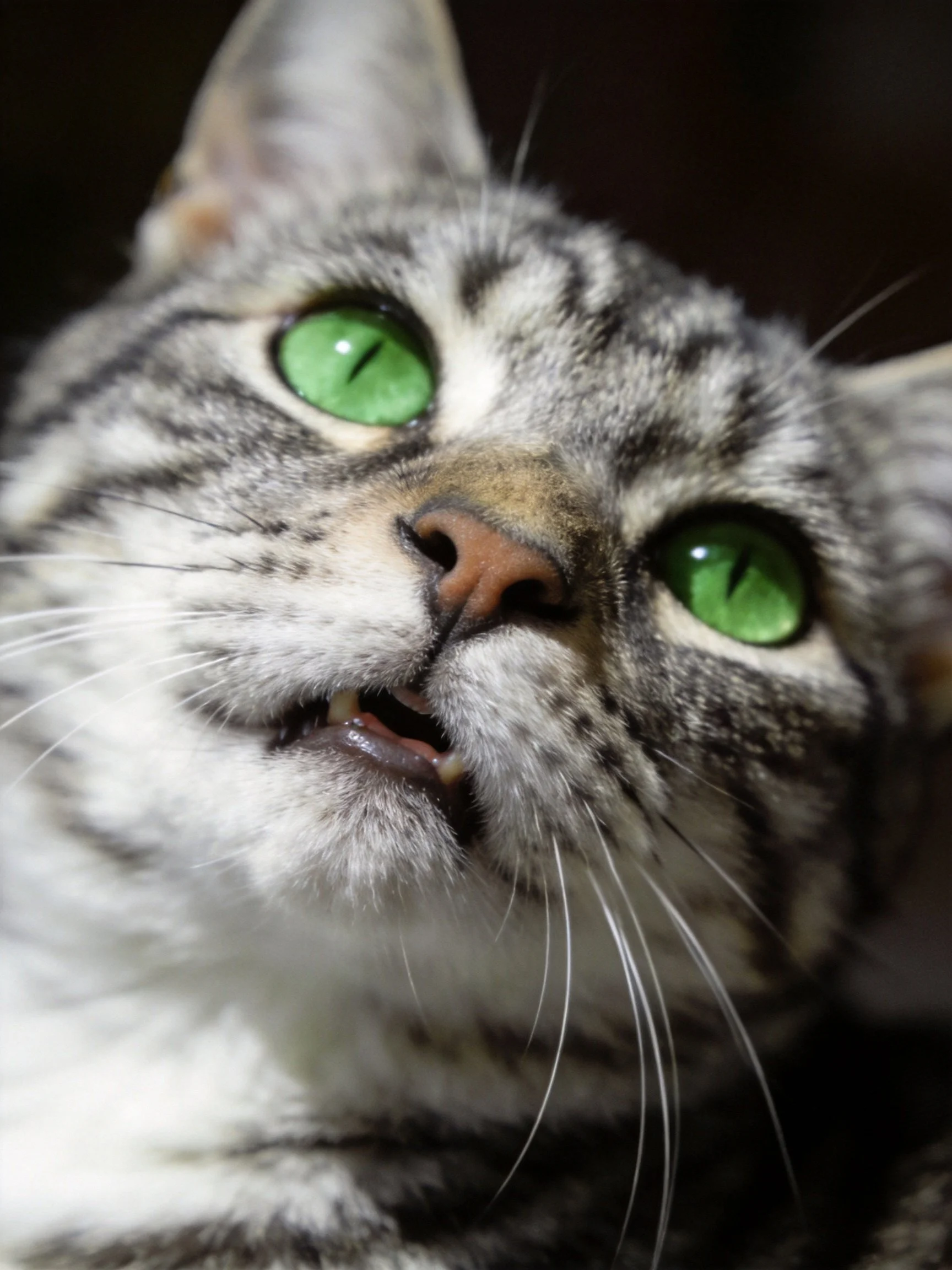 A tabby cat with vivid green eyes is captured in close - up.