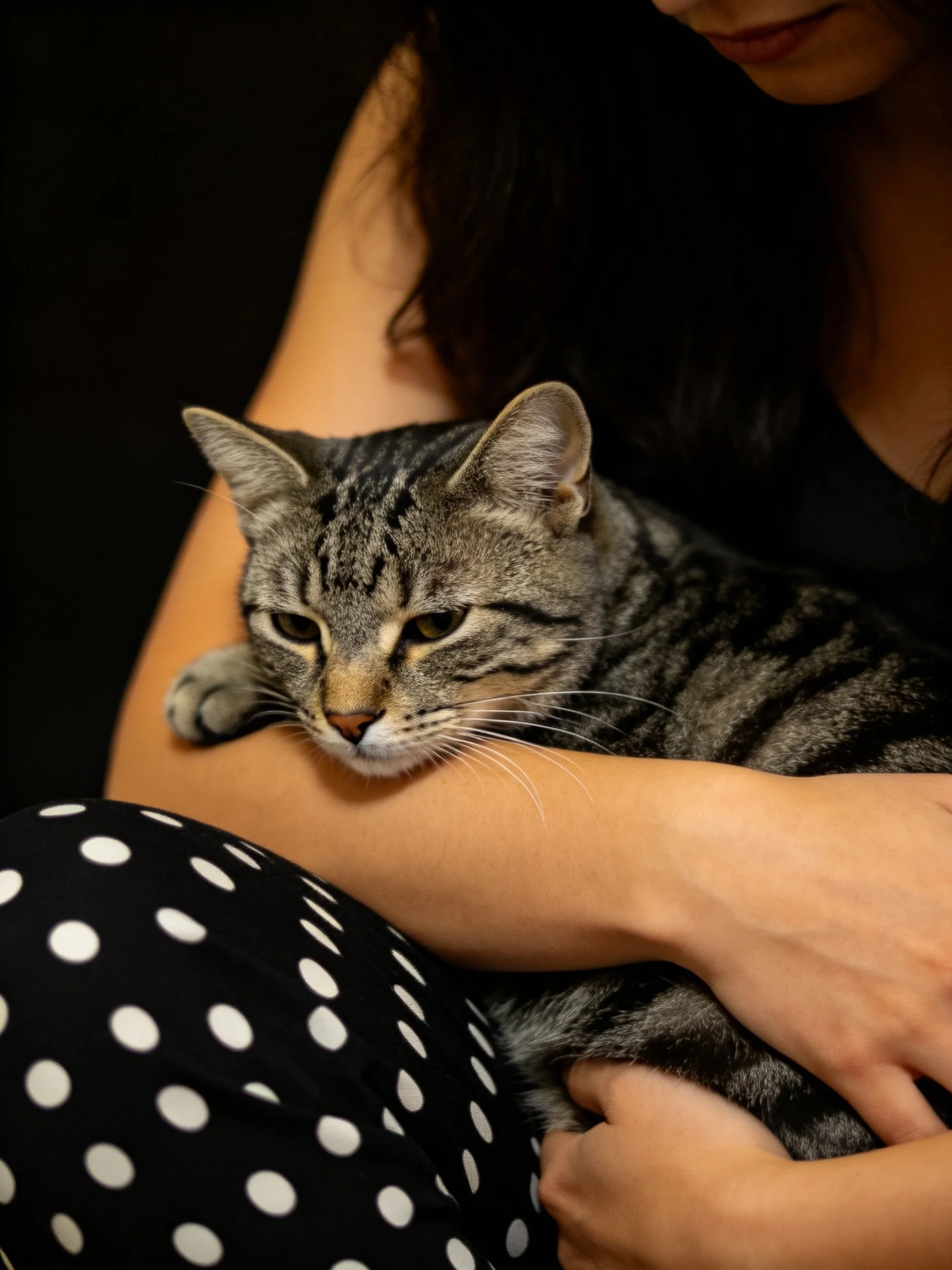 A woman in black polka-dot pants holds a gray tabby cat