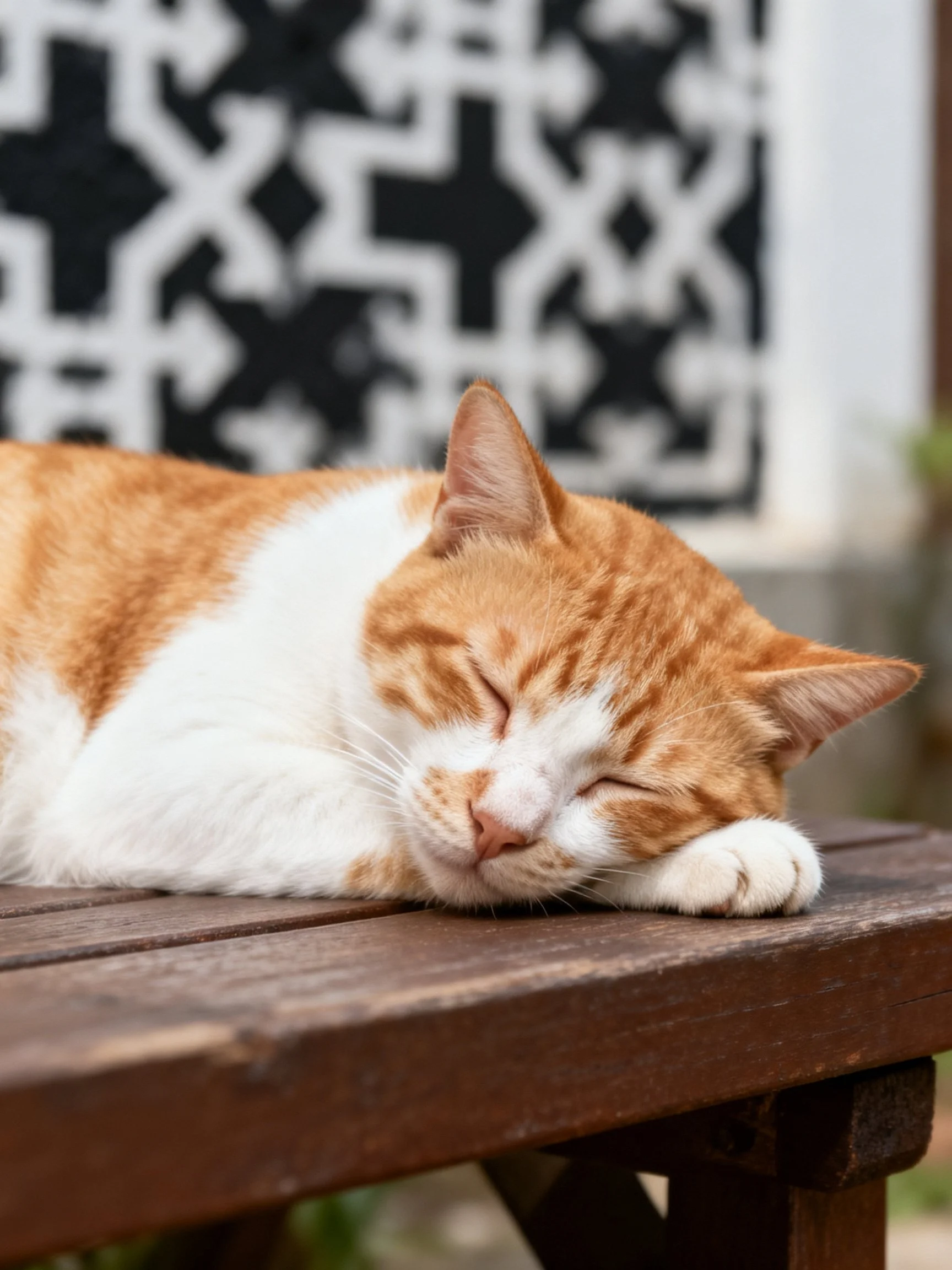 An orange and white cat napping on a weathered wooden bench