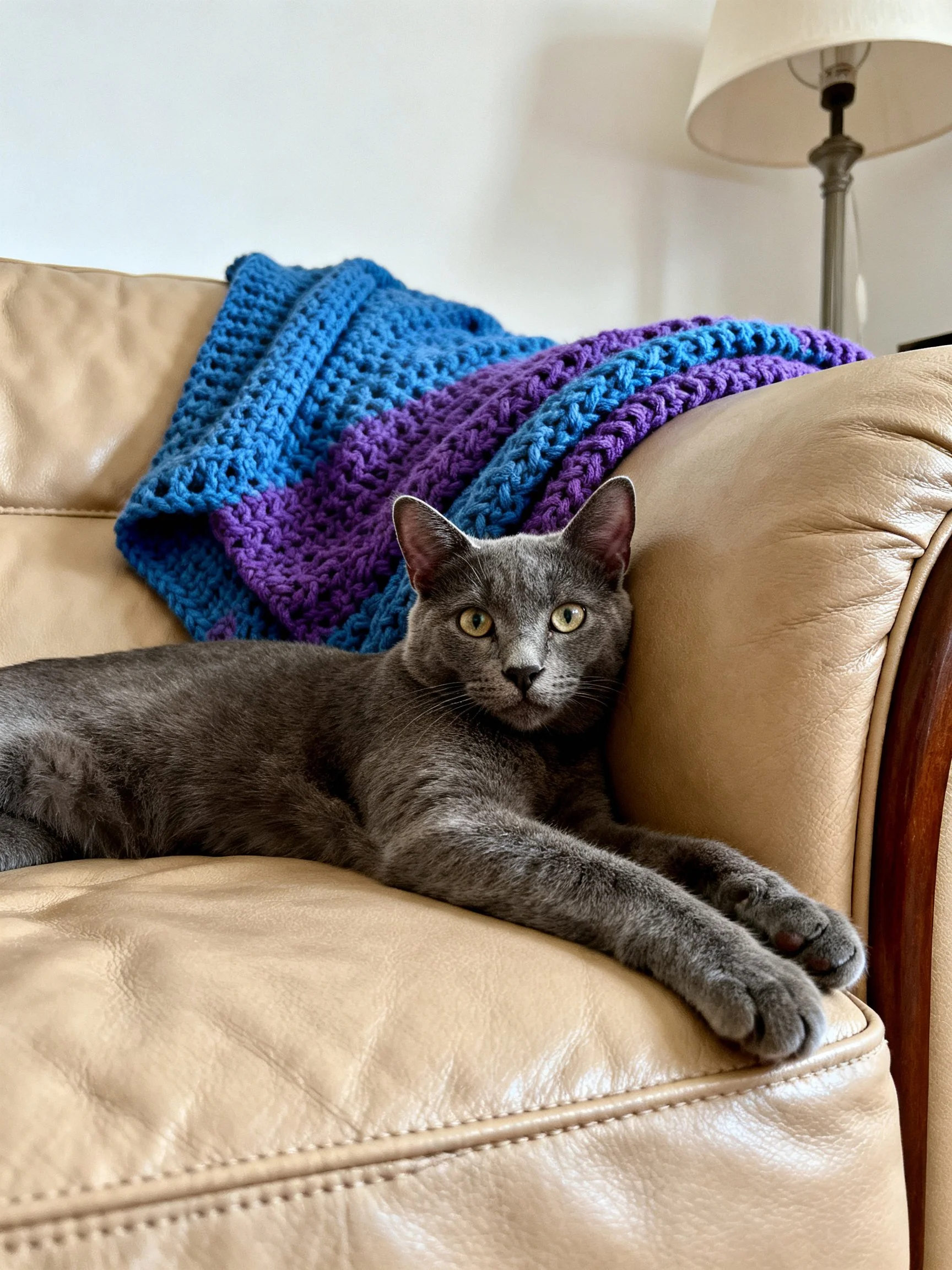 Gray cat rests on beige leather couch with blue-purple blankets