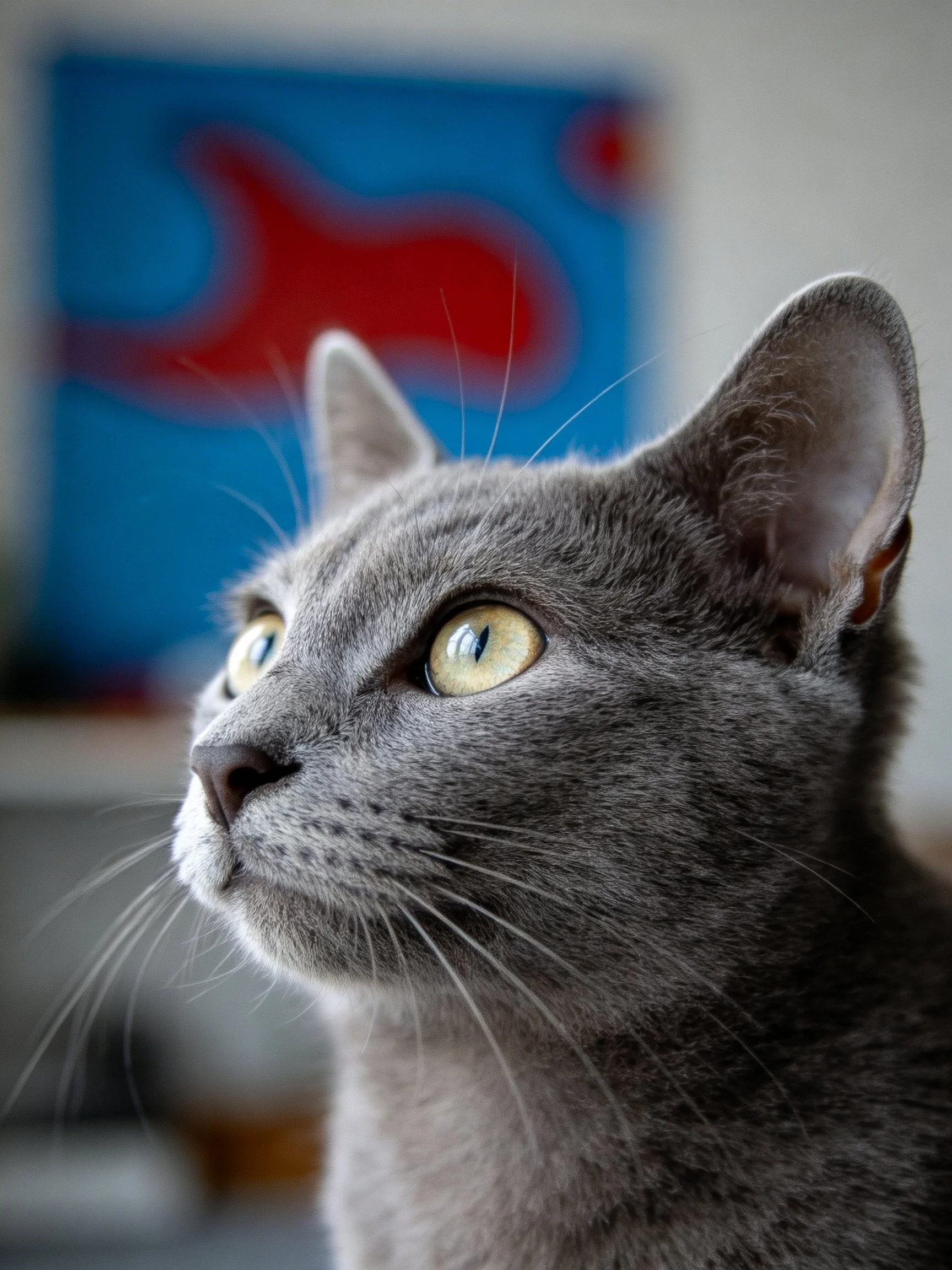 A gray cat with bright yellow eyes looks upward beside an abstract blue and red painting.
