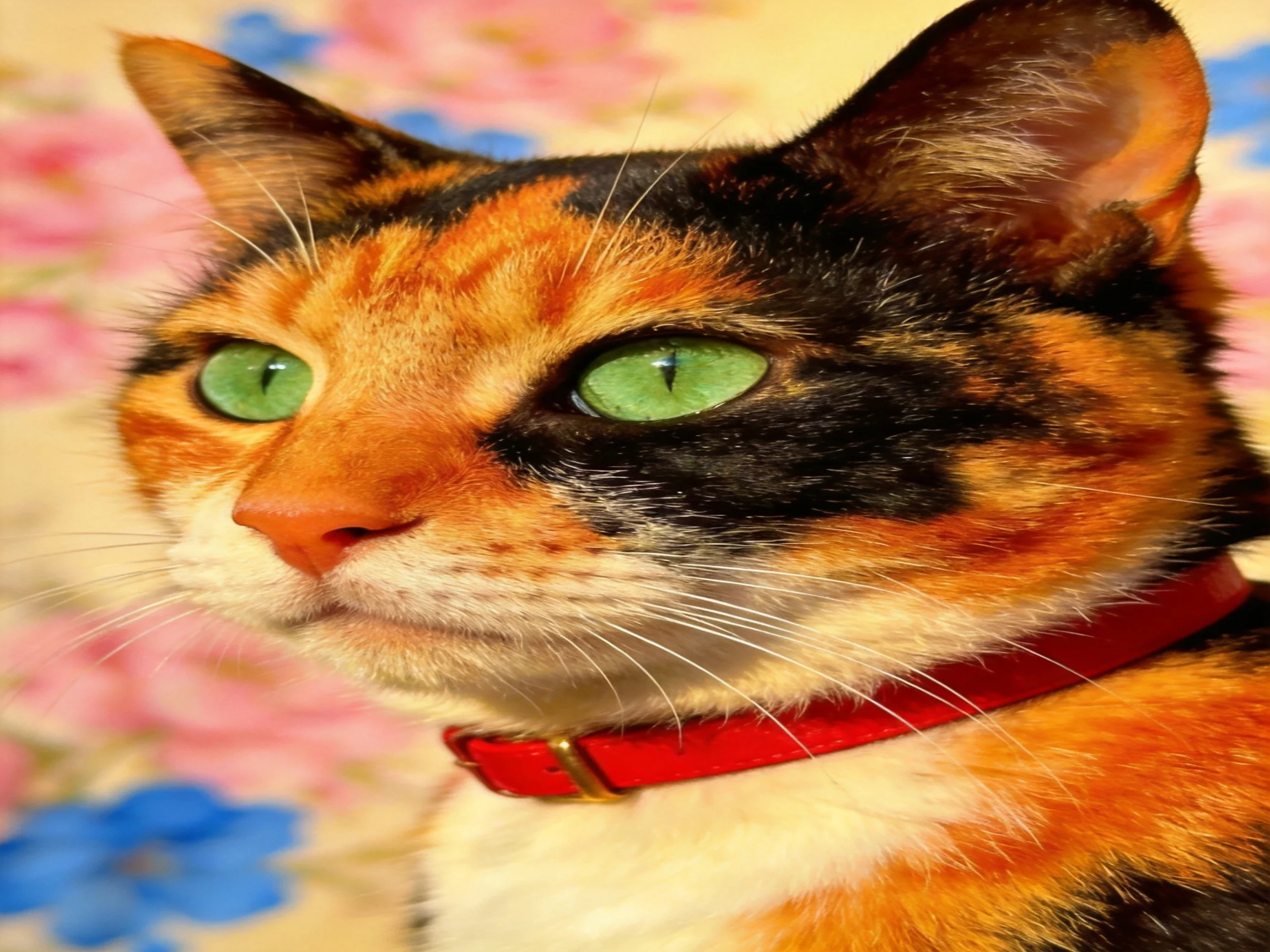 A calico cat with green eyes and a red collar is near floral patterns.