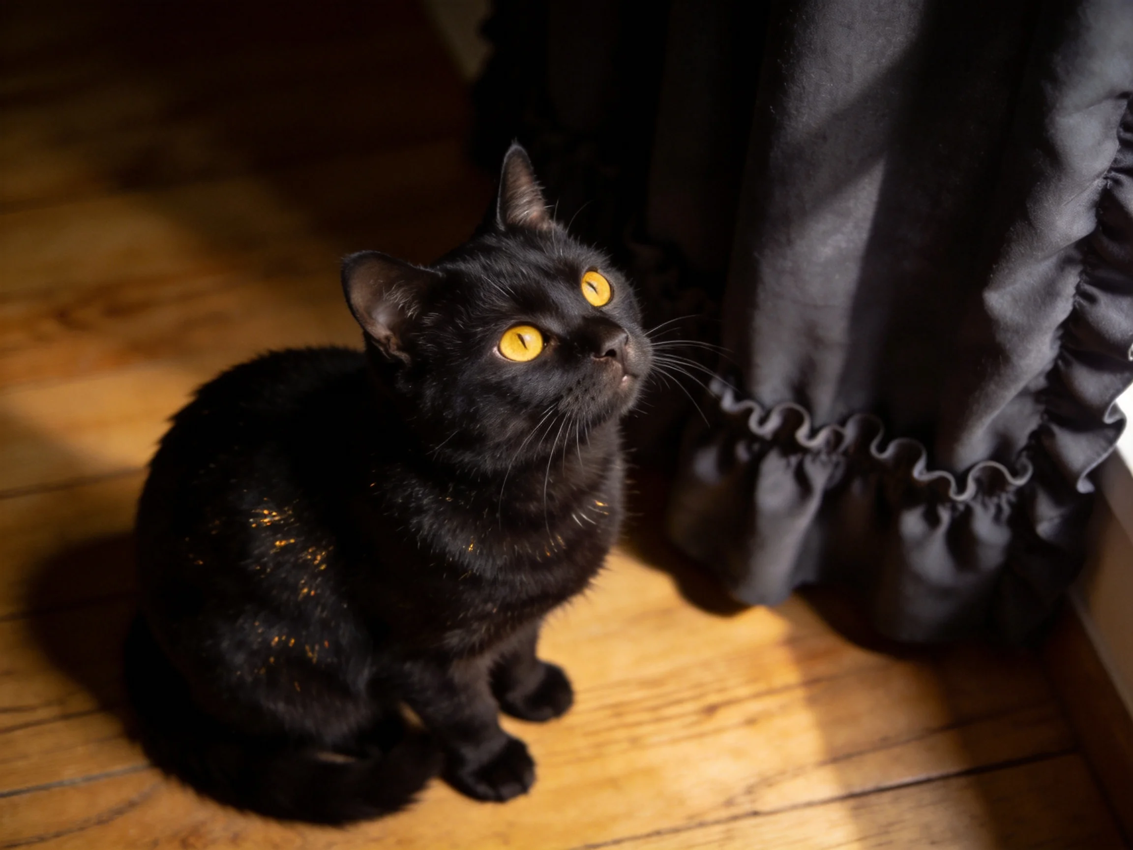 A black cat with yellow eyes rests beside a dark curtain on a wooden floor.