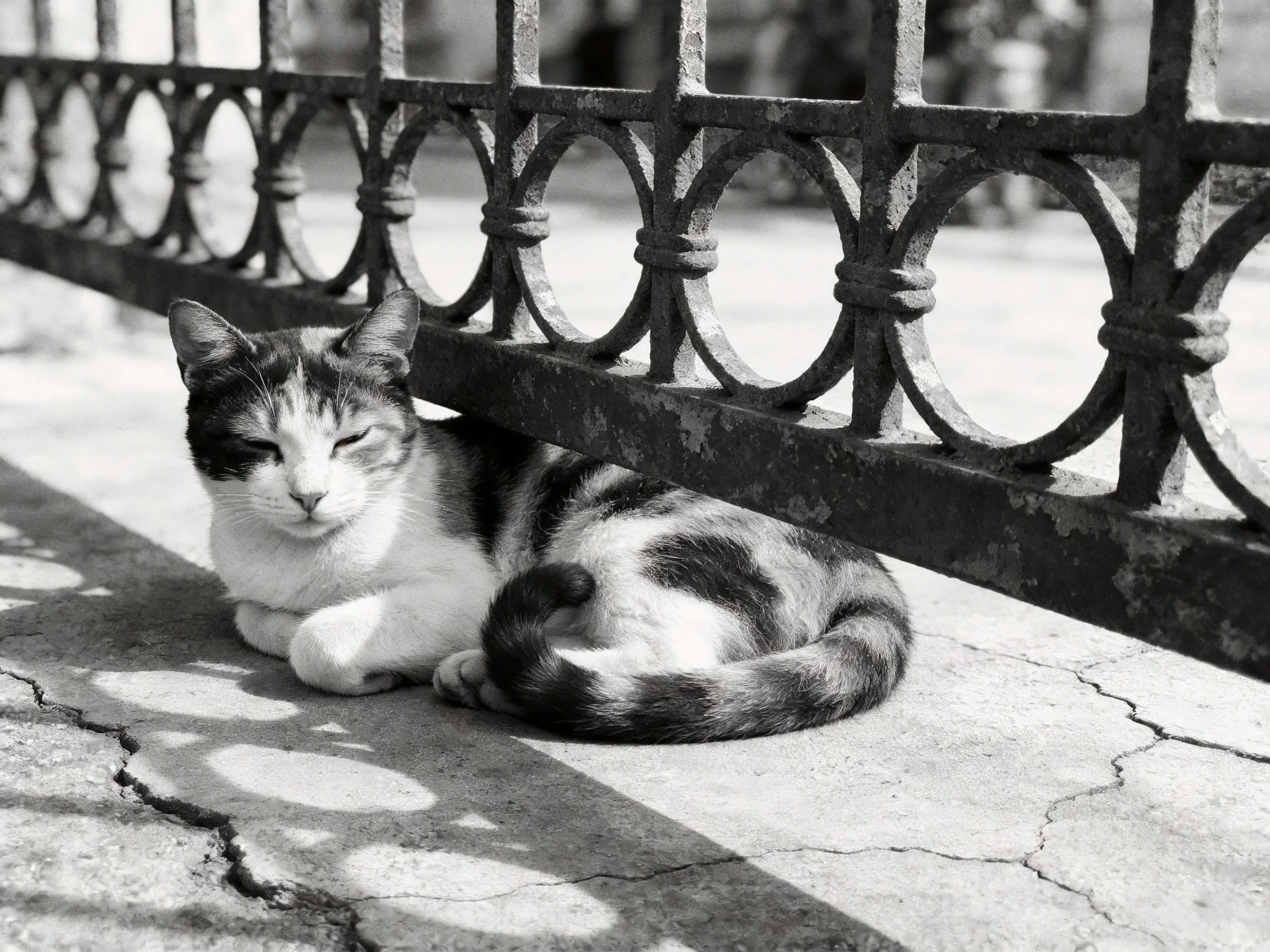A cat rests near a metal fence on cracked pavement.