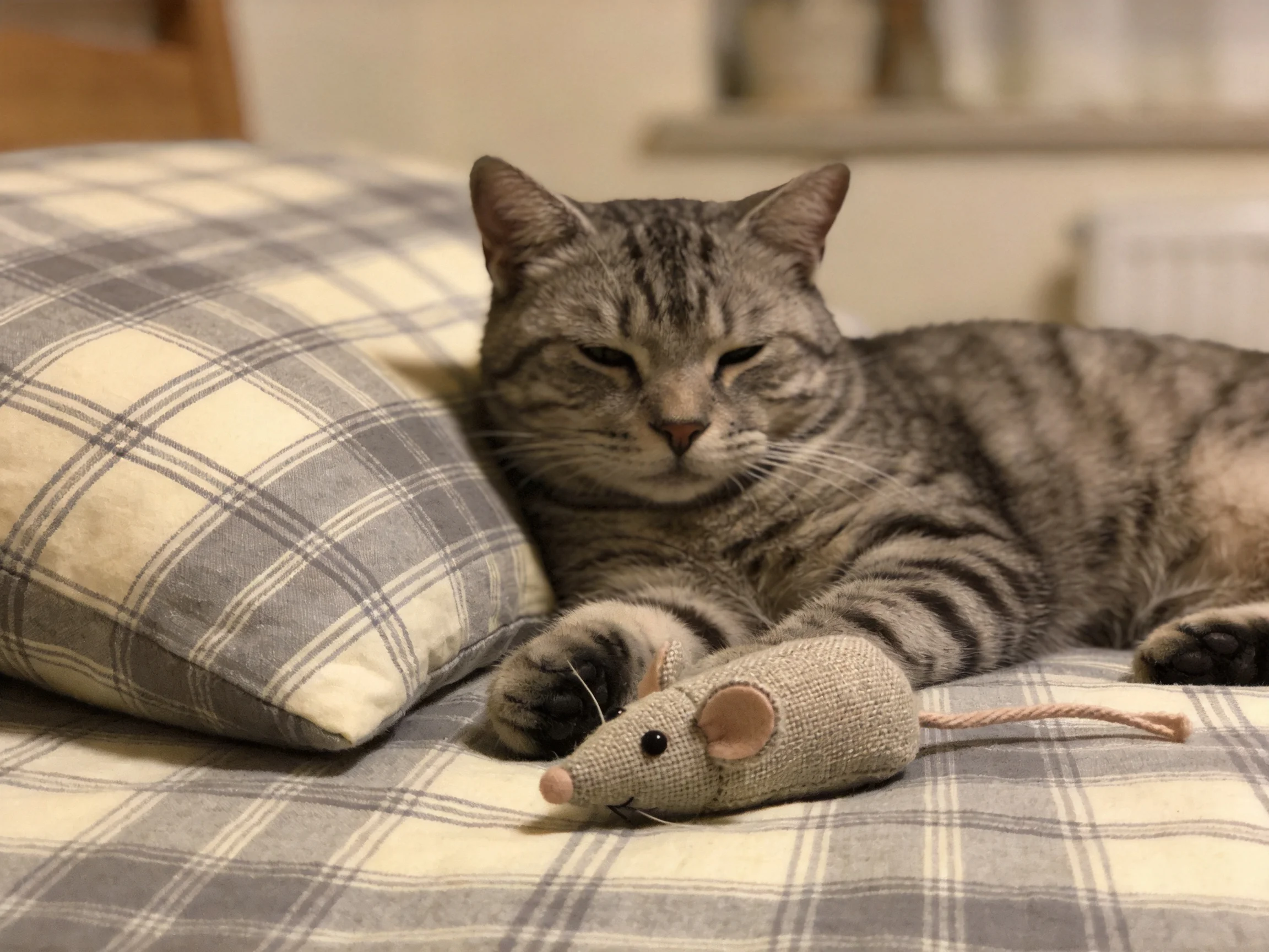 A tabby cat relaxes next to a fabric mouse toy on a plaid bed.