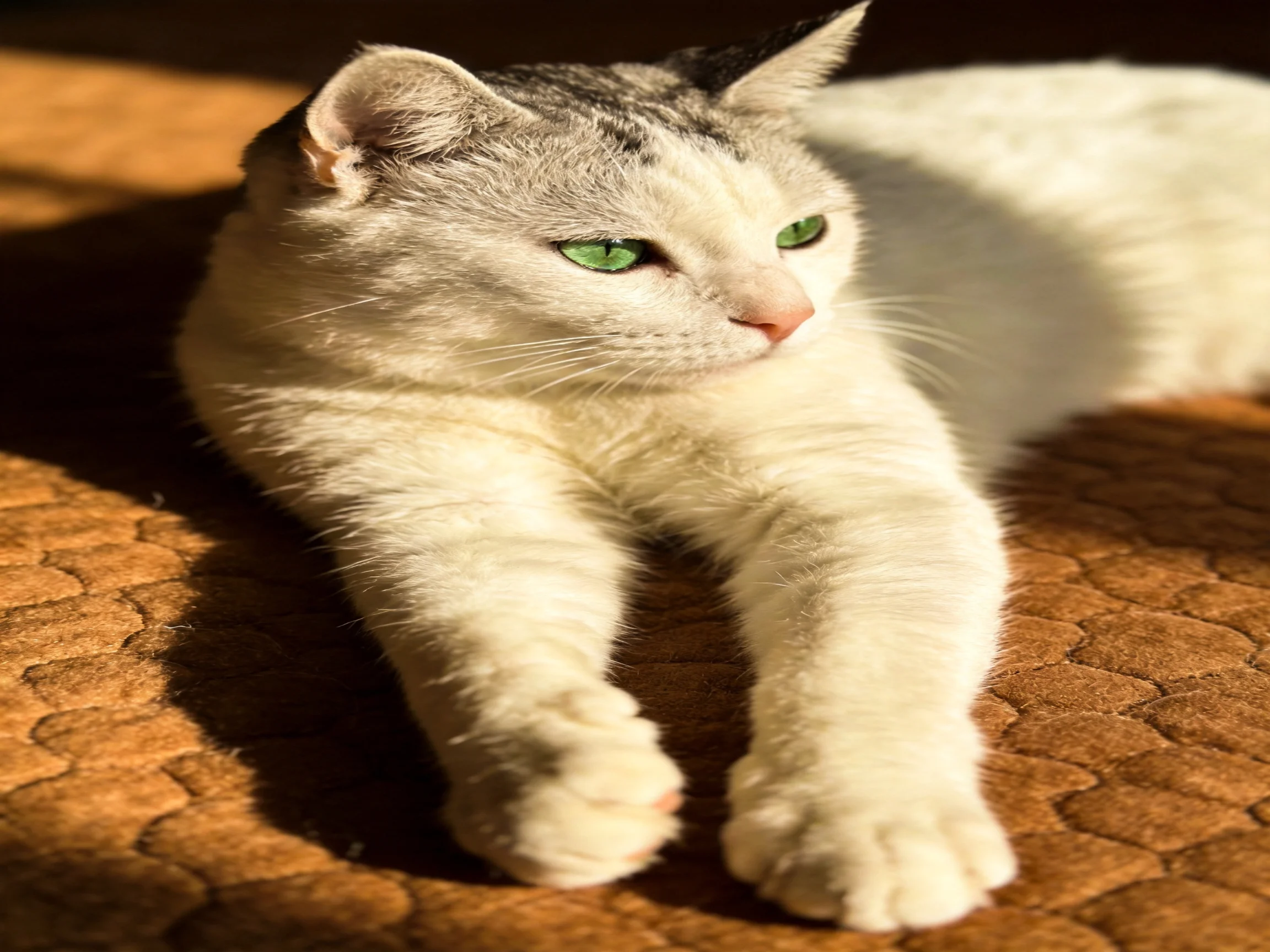 A white and gray cat with green eyes relaxes on a brown quilted surface.