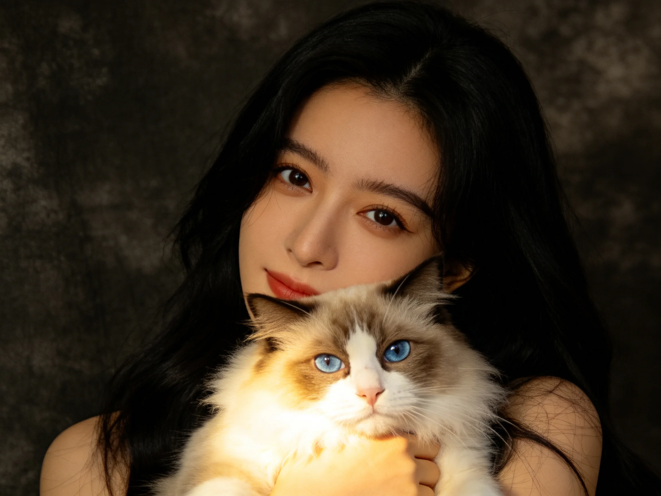 A woman with long black hair holds a fluffy white-brown cat with bright blue eyes