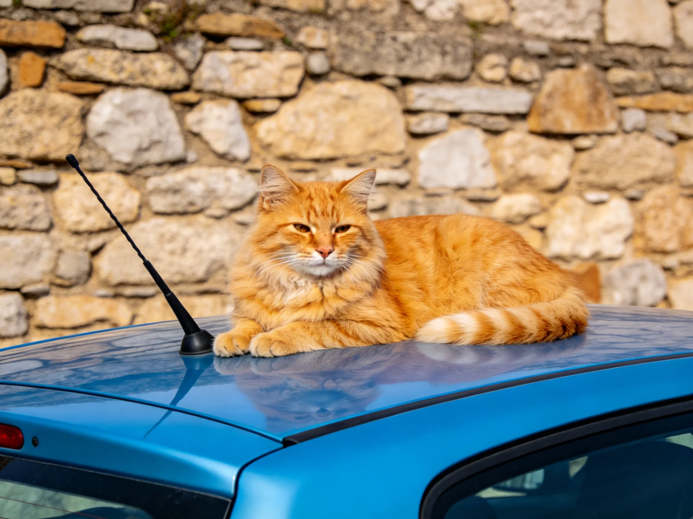 An orange cat lounges on a blue car roof by a stone wall