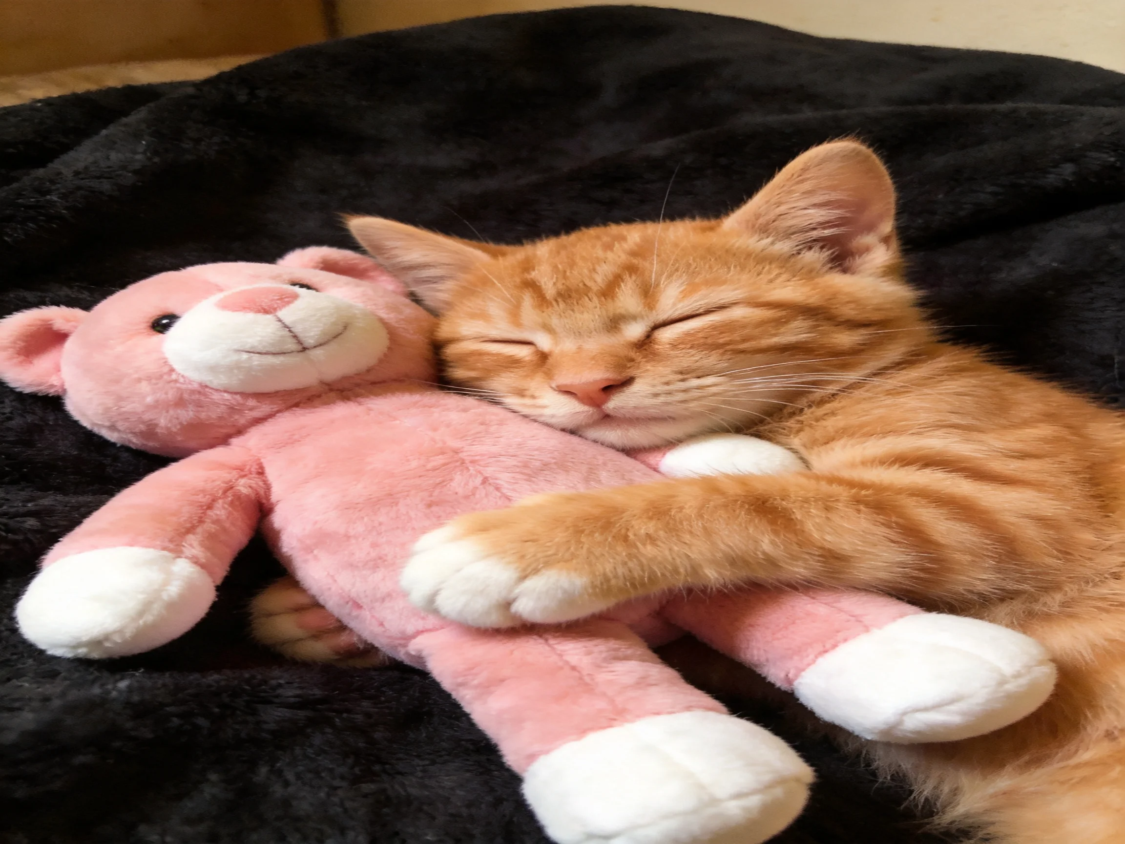 An orange kitten cuddles a pink plush toy on a black blanket