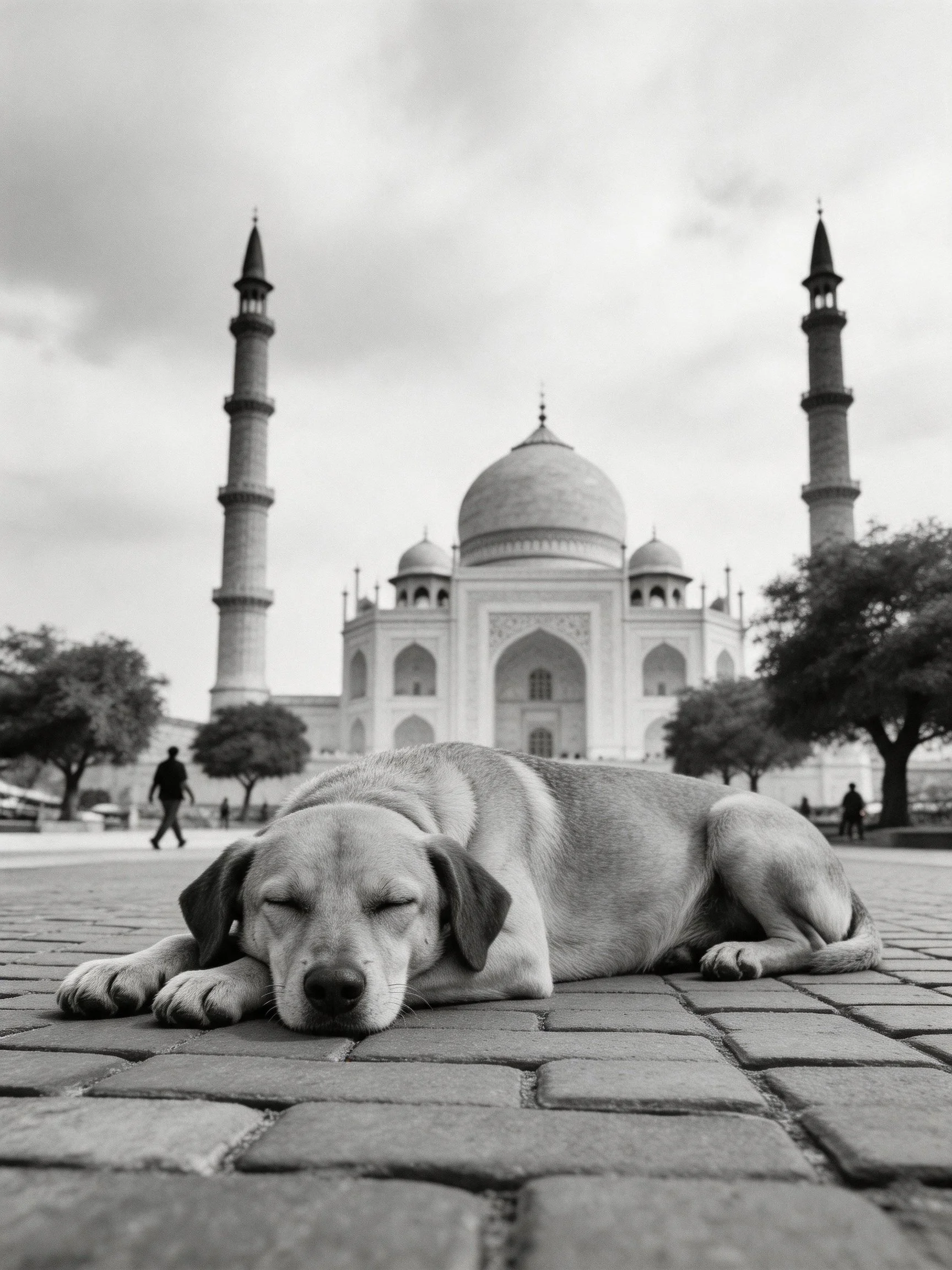 A dog sleeps on cobblestones with a grand domed landmark in the background