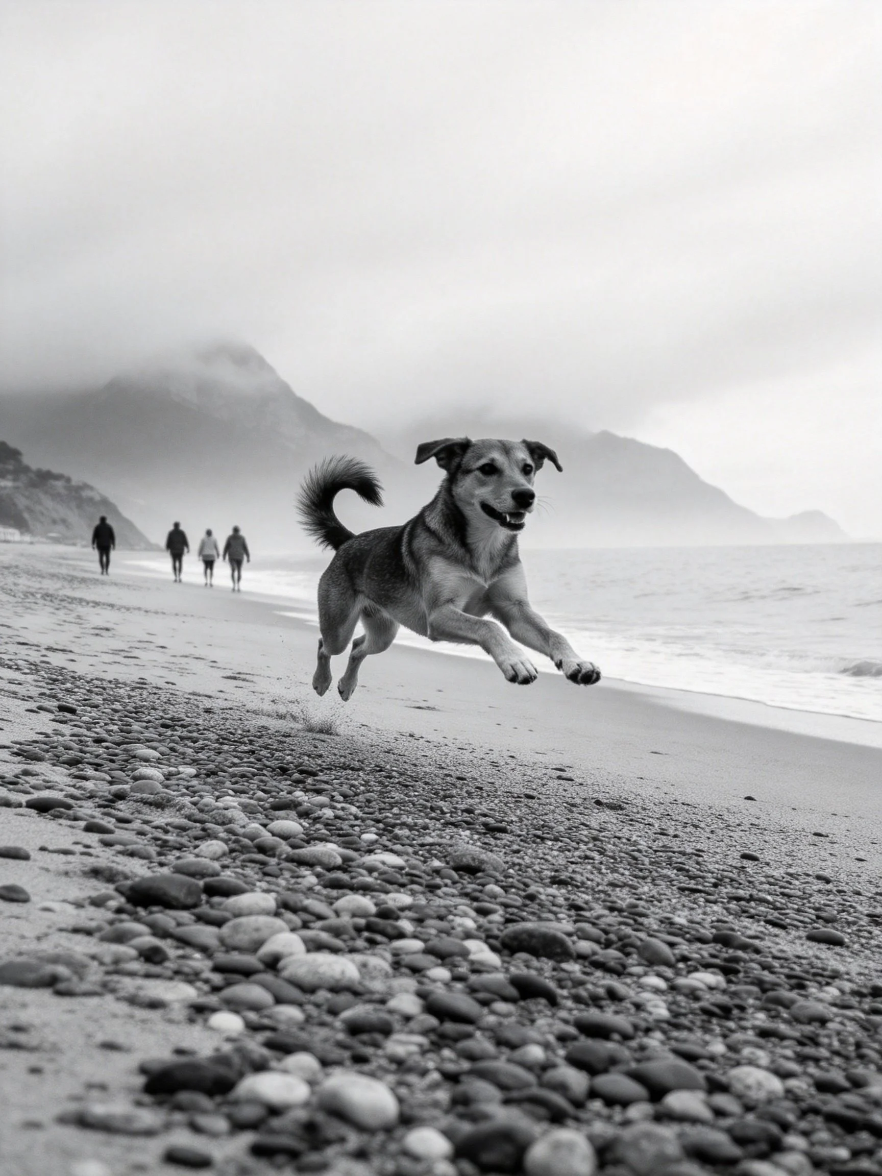 A joyful dog leaps over pebbles on a misty coastal shore
