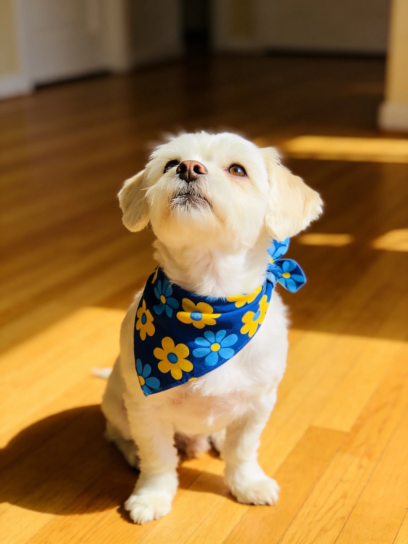 A small white dog wearing a blue floral bandana sits on a wooden floor.
