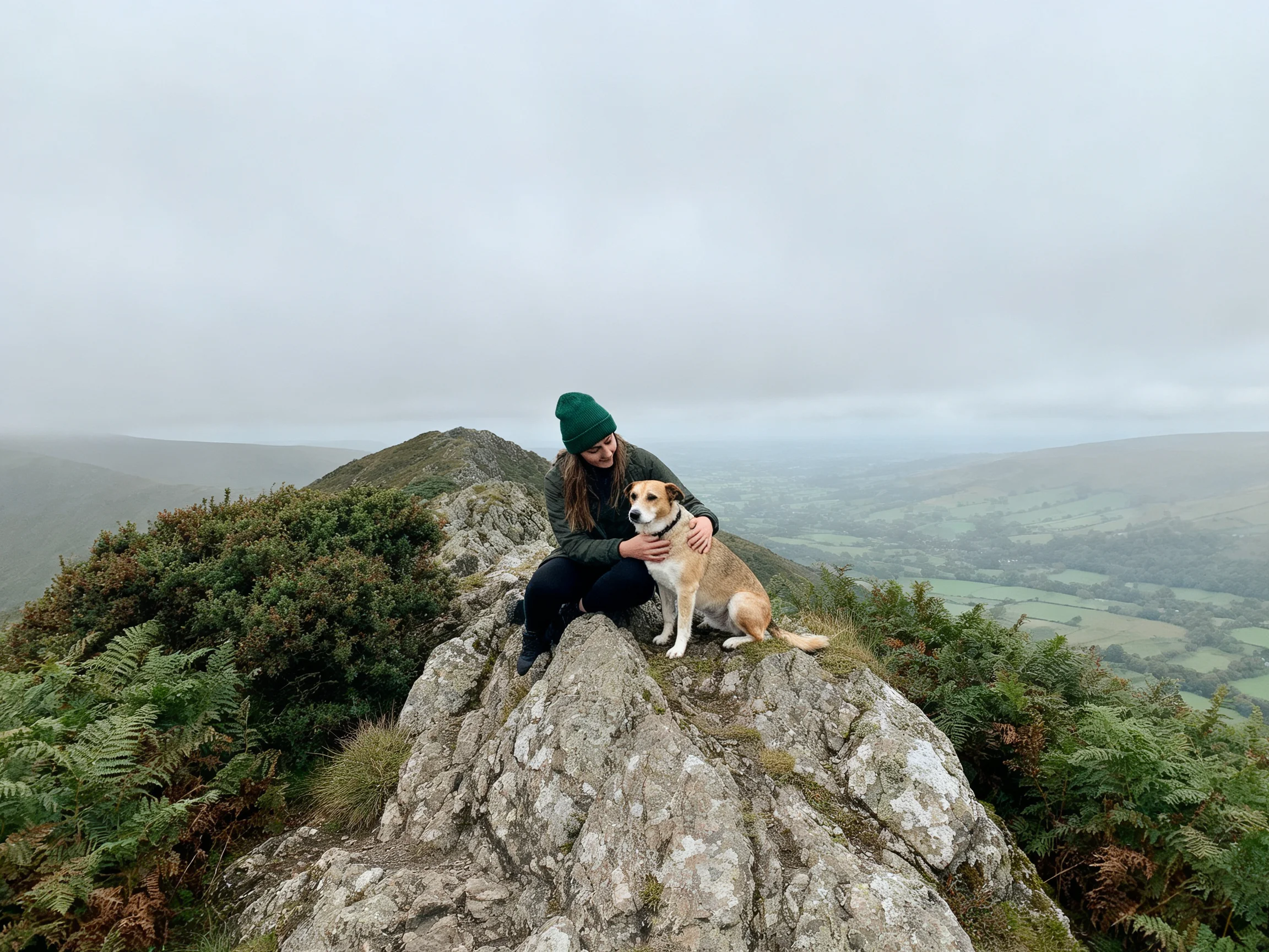 Person sits on rocky peak with dog, near lush greenery and misty hills