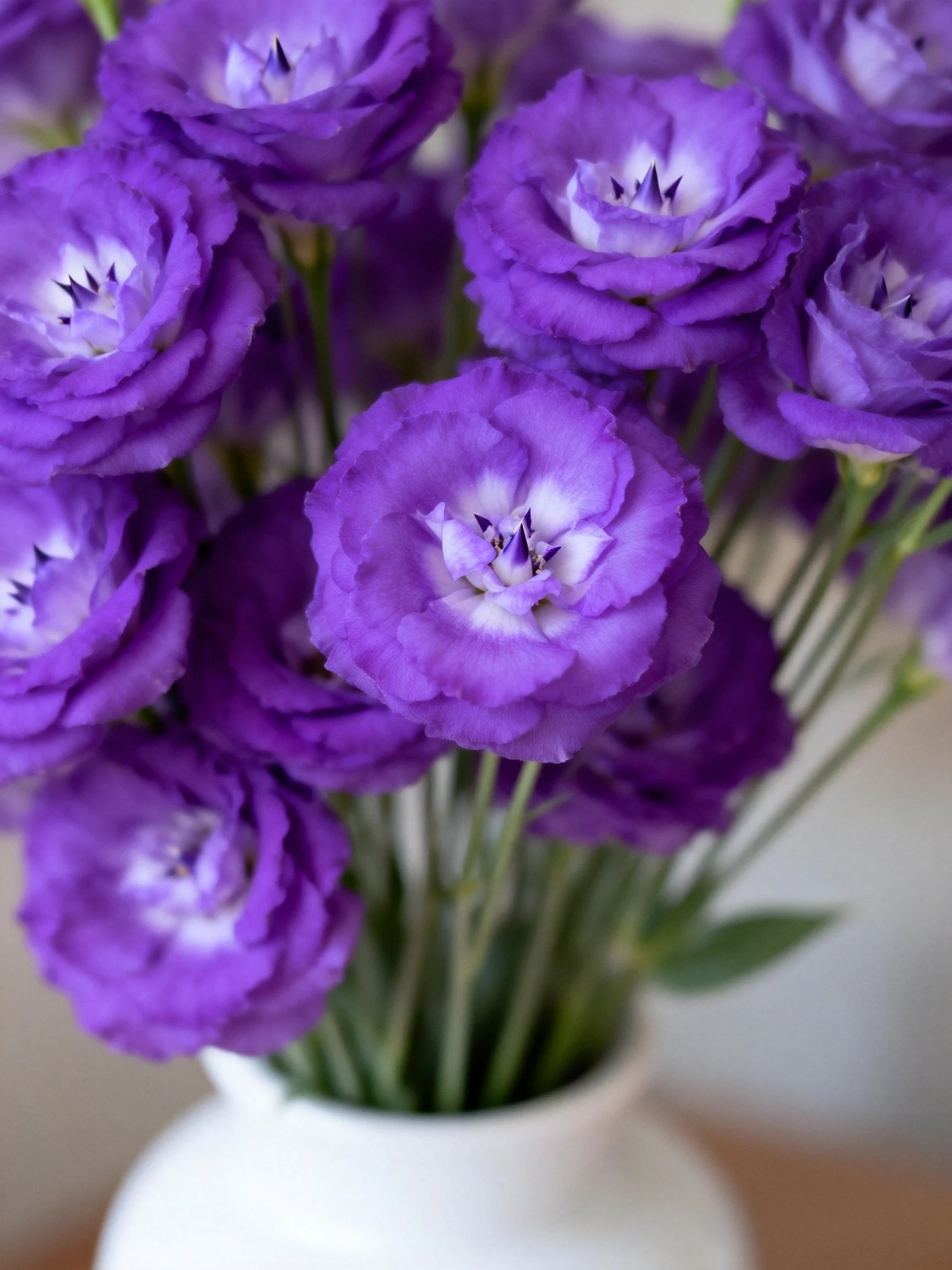 A Bouquet of Vibrant Purple Carnations in a White Ceramic Vase