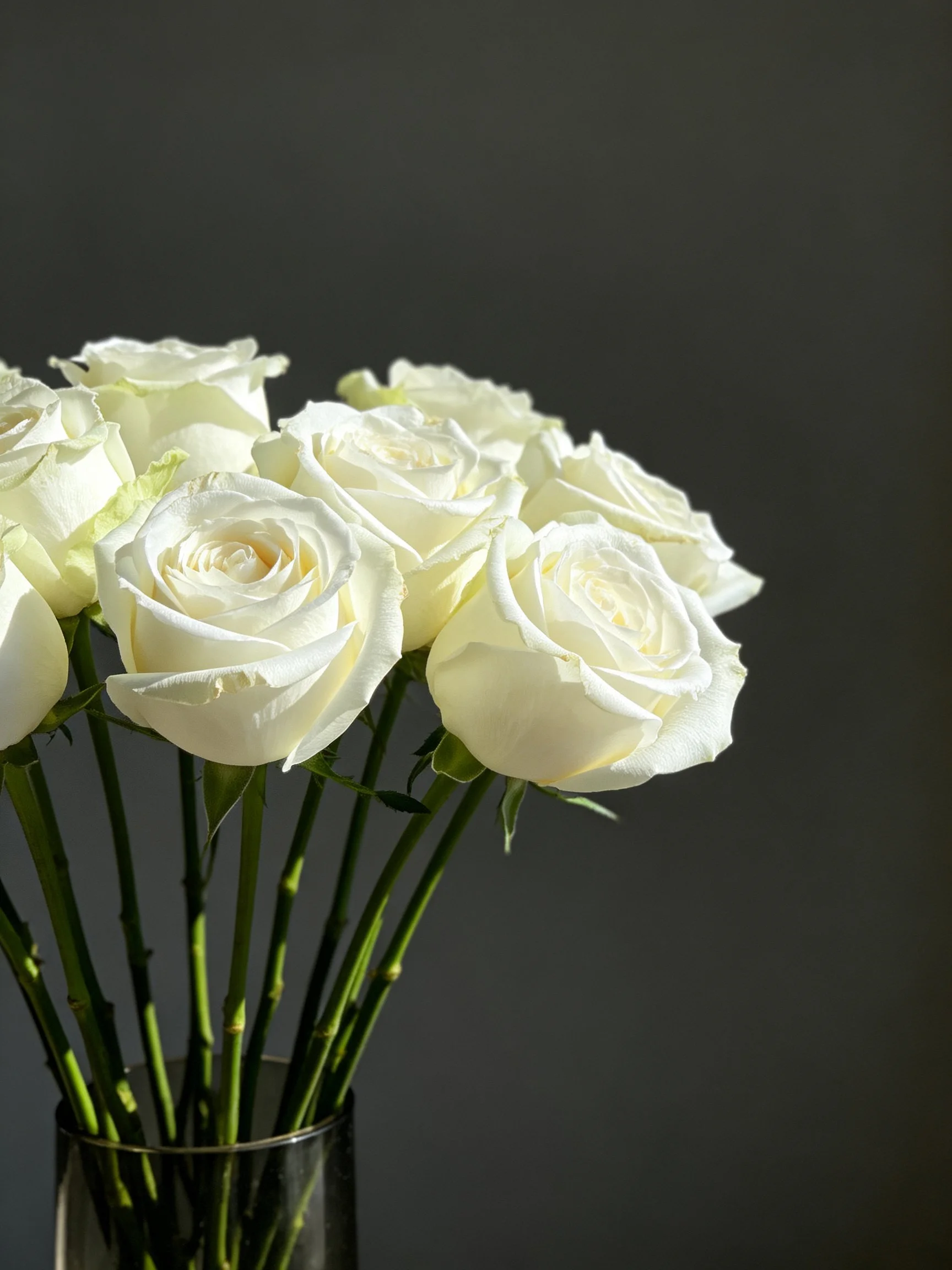 A bouquet of white roses arranged in a glass vase