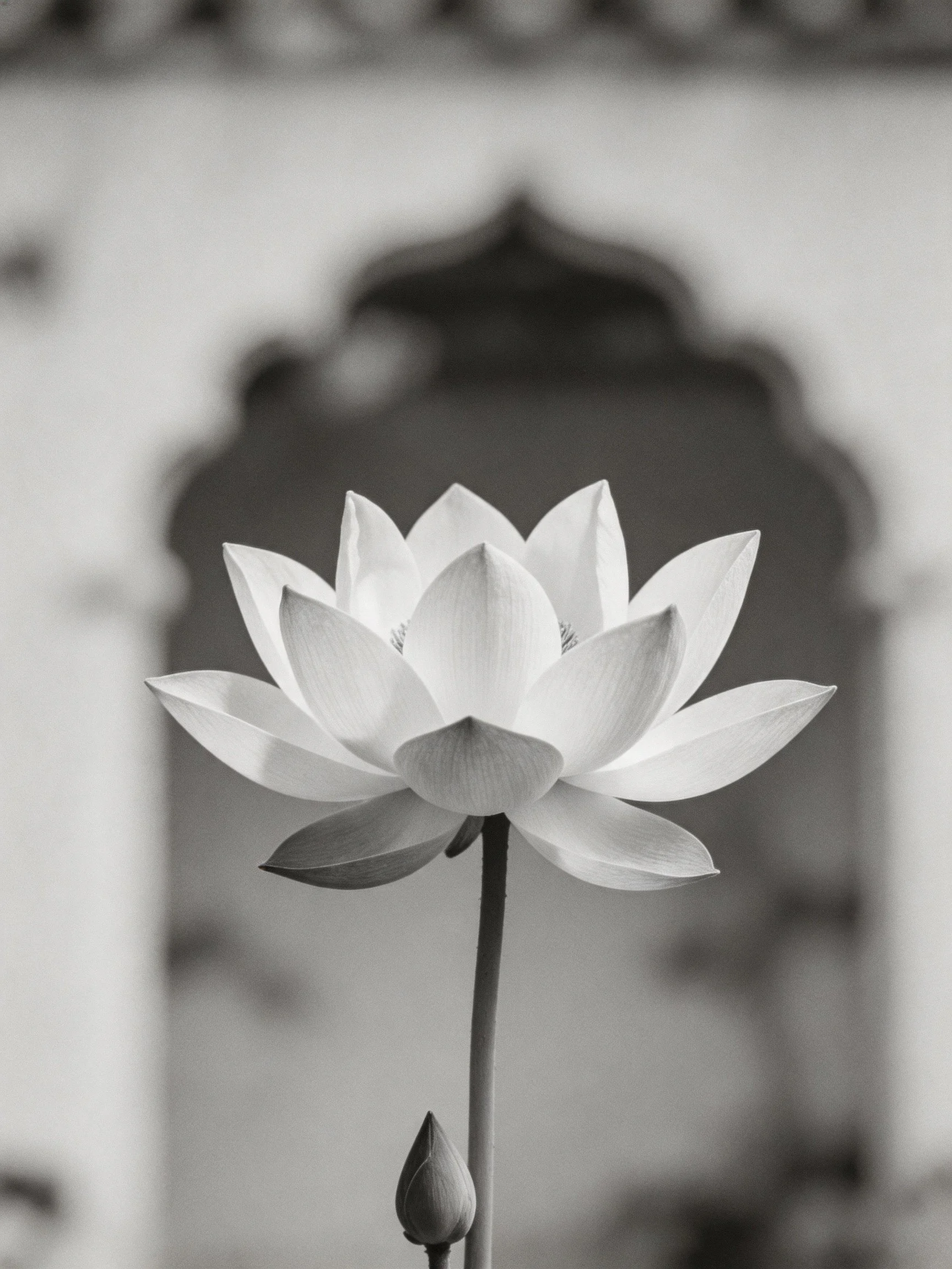 A single lotus flower with a bud, set against an ornate archway