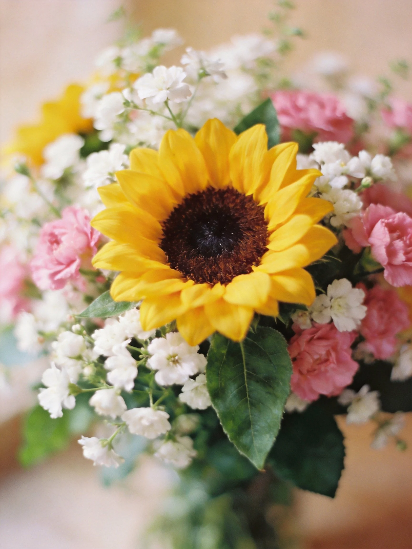 A vibrant bouquet with a central yellow sunflower, pink flowers, and white blooms