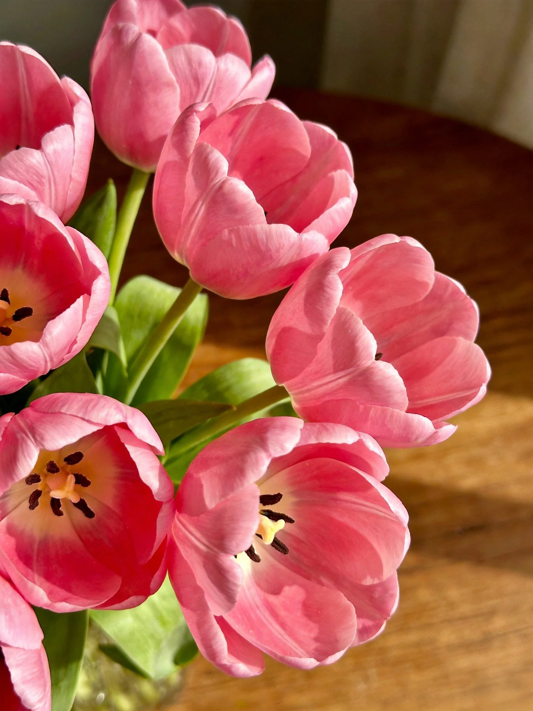 A vibrant cluster of pink tulips on a wooden surface