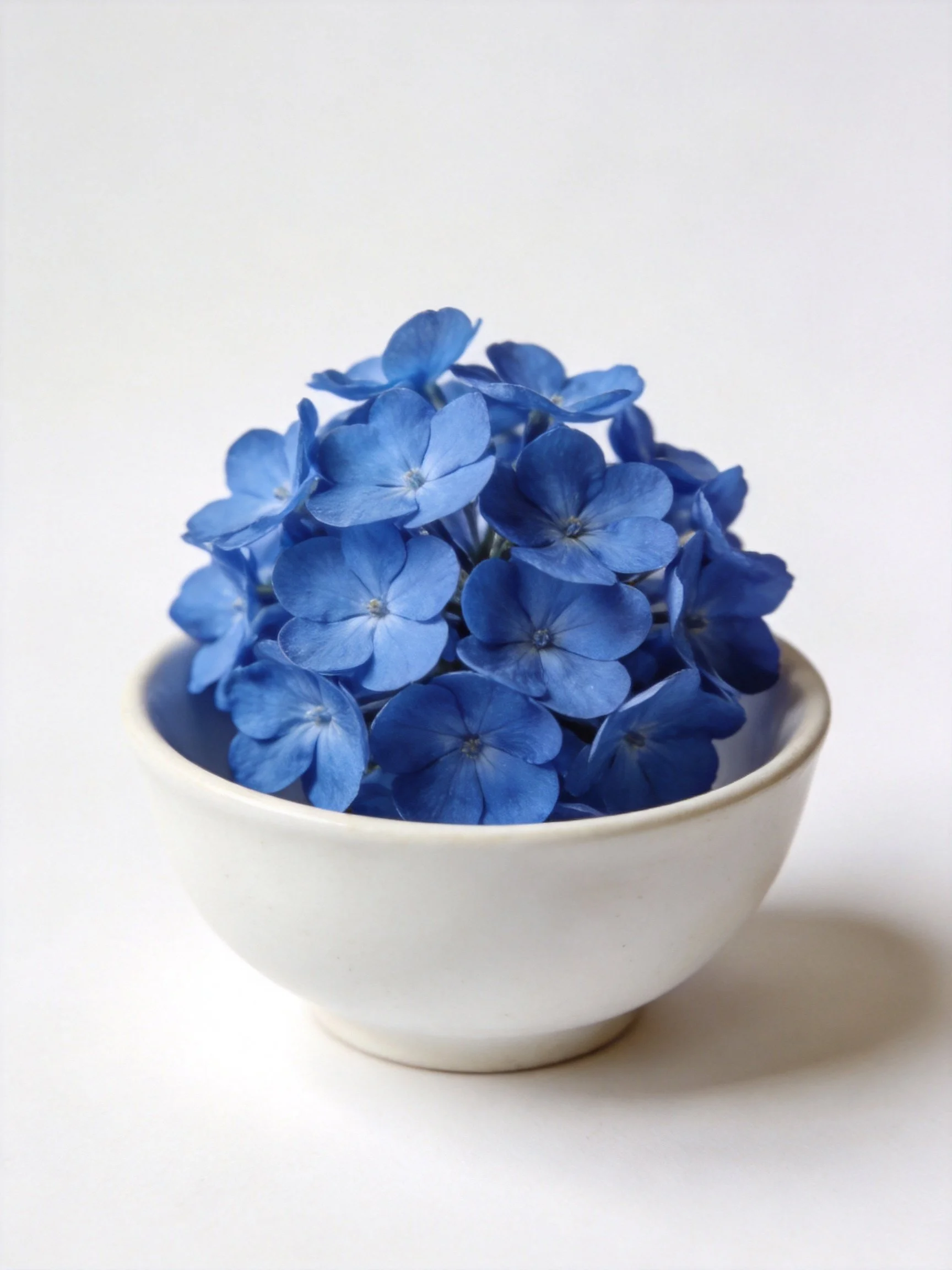 A white ceramic bowl holding a cluster of vivid blue flowers