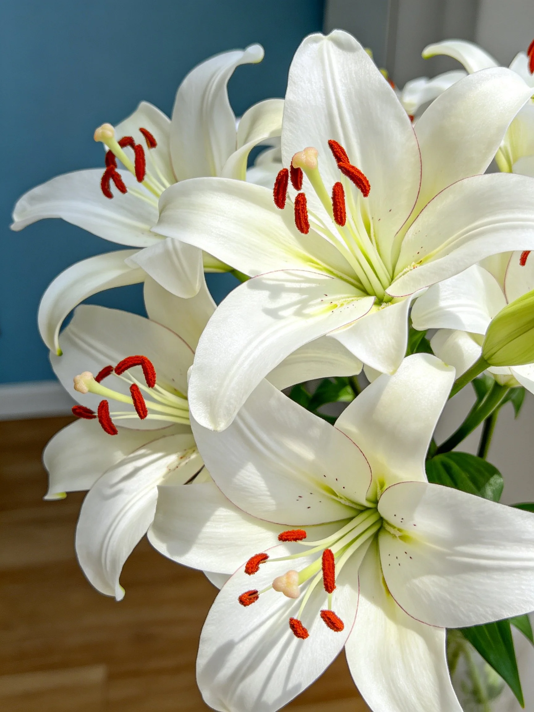 Bouquet of White Lilies with Red Stamens by Blue Wall