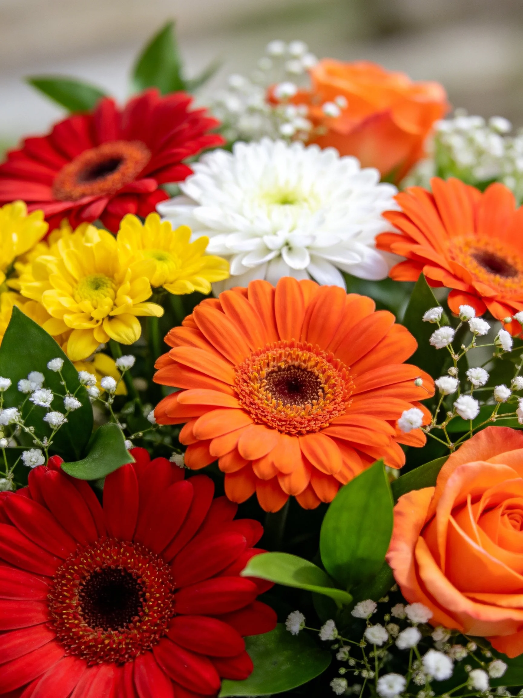 Colorful mixed flower bouquet with gerberas, roses, and chrysanthemums