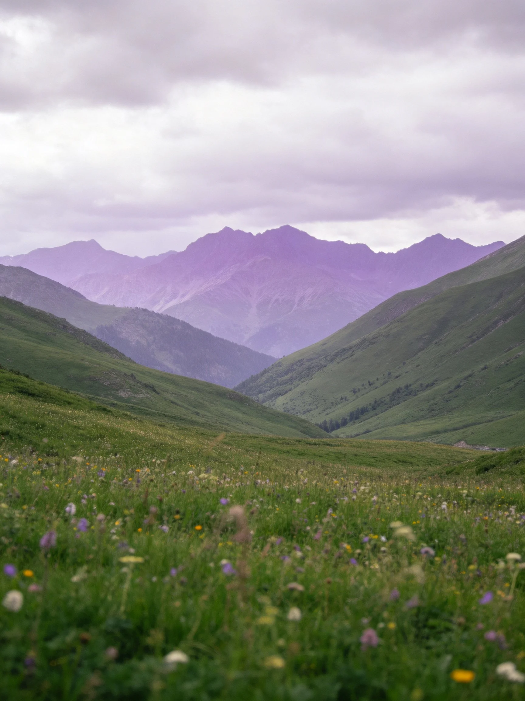 Green valley with colorful wildflowers, purple mountain peaks under cloudy sky