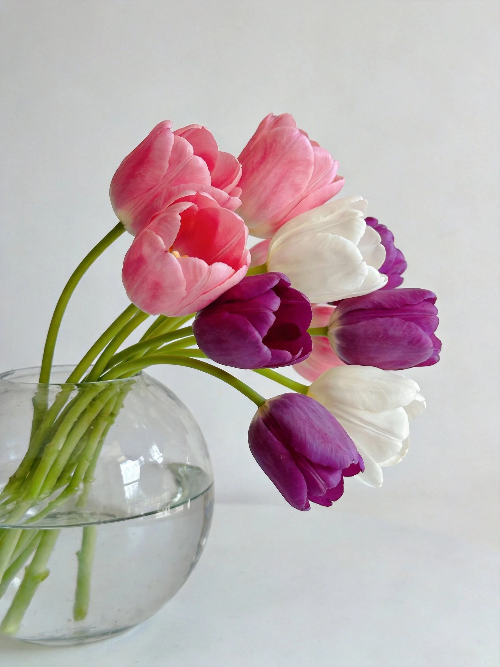 Mixed-color tulip bouquet in clear glass vase
