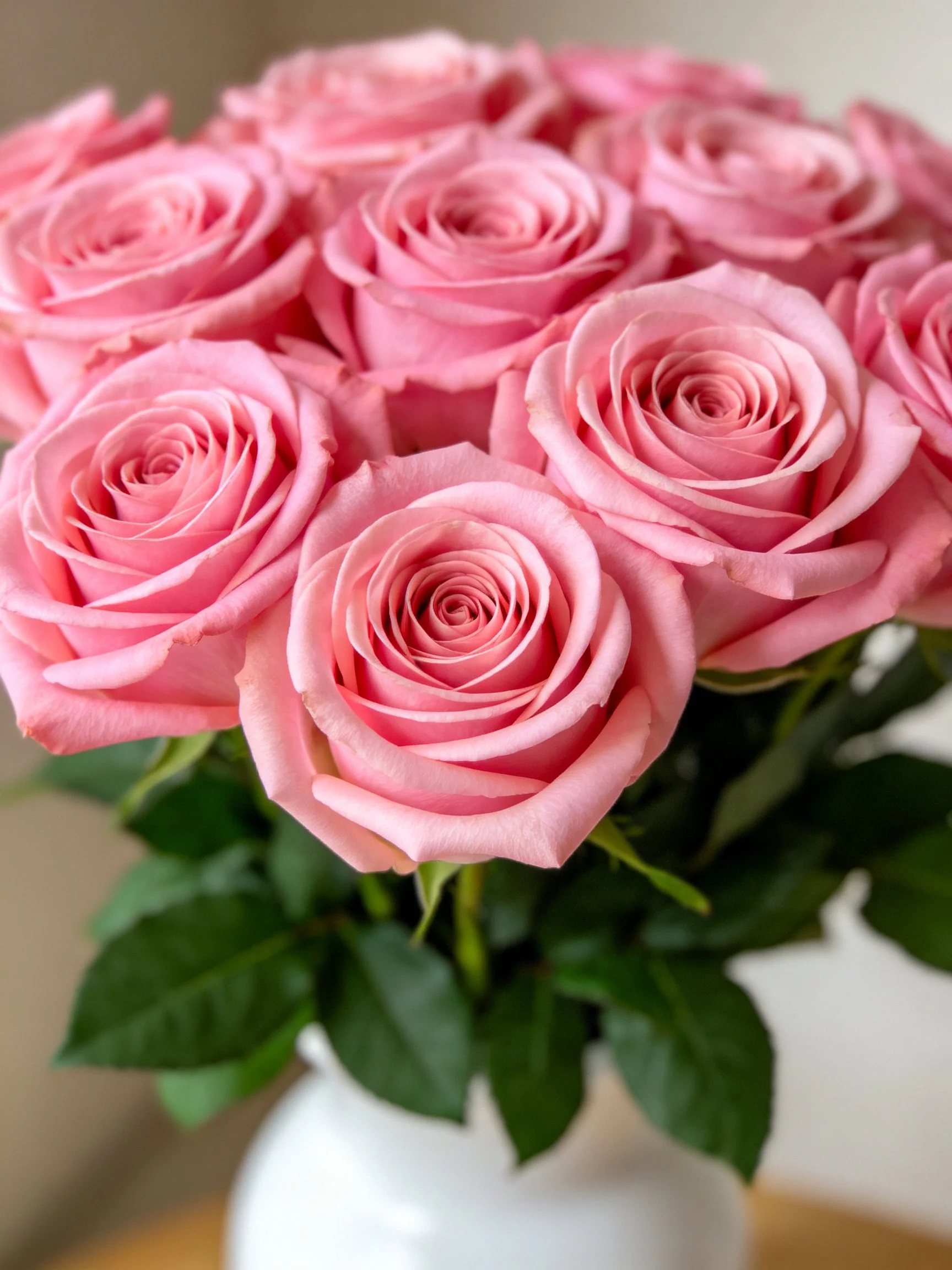 Multiple pink roses arranged in a white vase