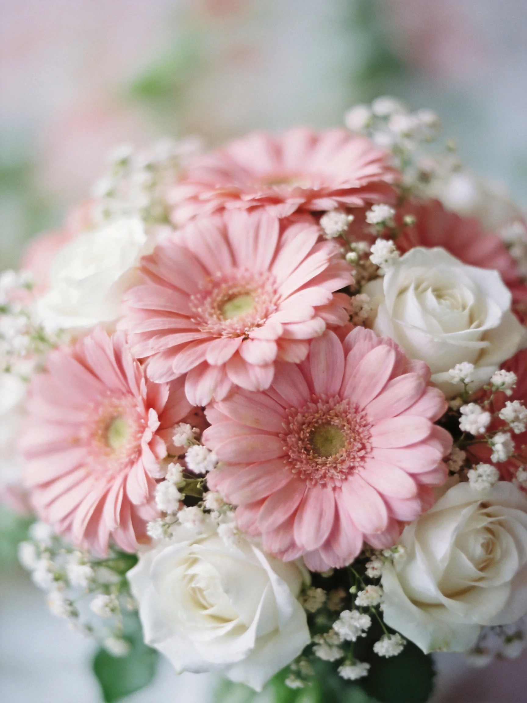 Pink Gerbera Daisies, White Roses, and Baby’s Breath Bouquet