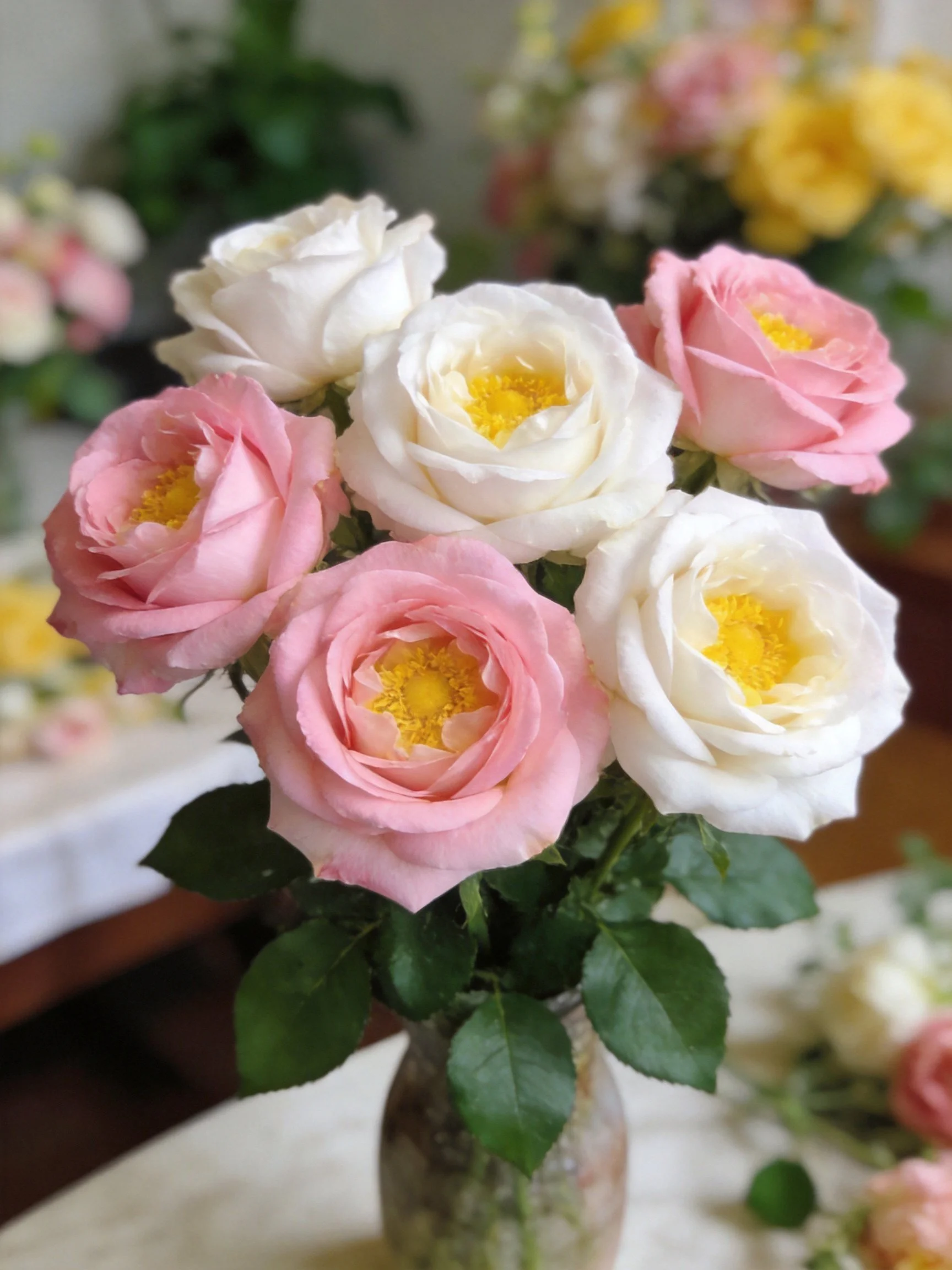 Pink and White Roses Arranged in a Glass Vase with Green Foliage