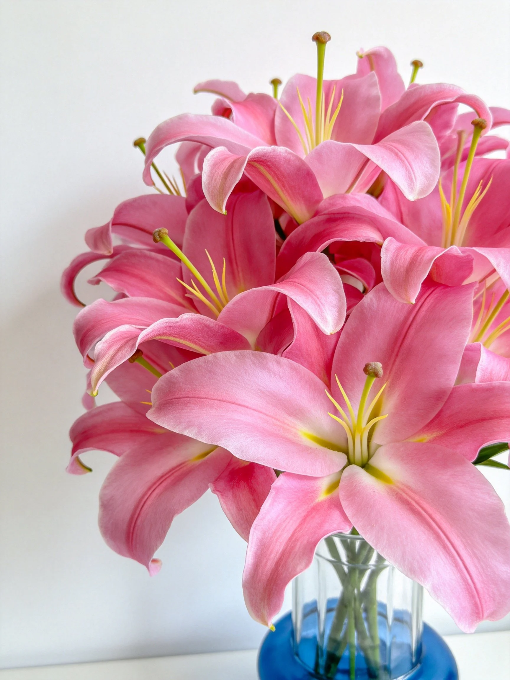 Pink lilies arranged in a blue-accented glass vase with water