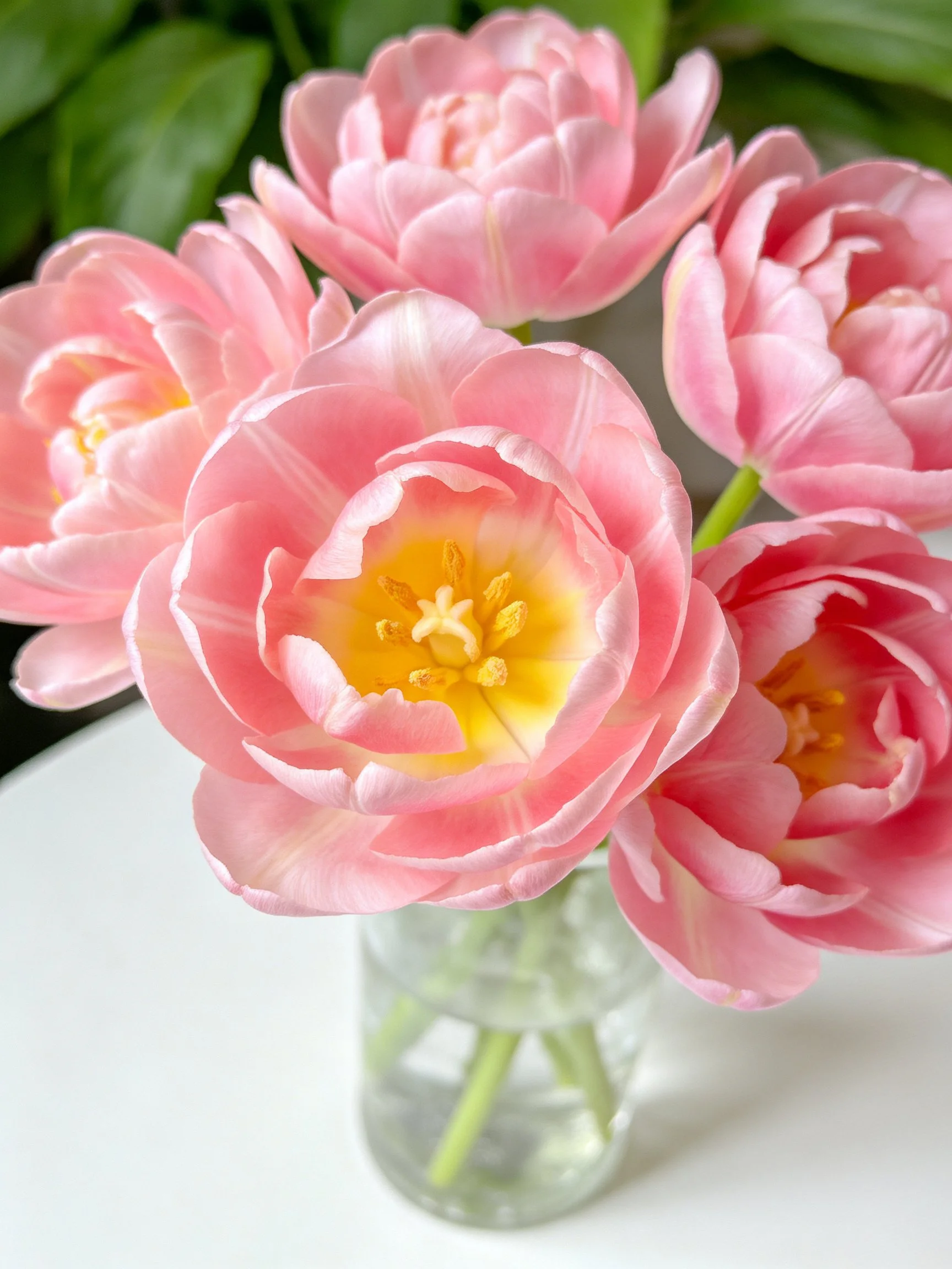 Pink tulips arranged in a clear glass vase with green foliage backdrop