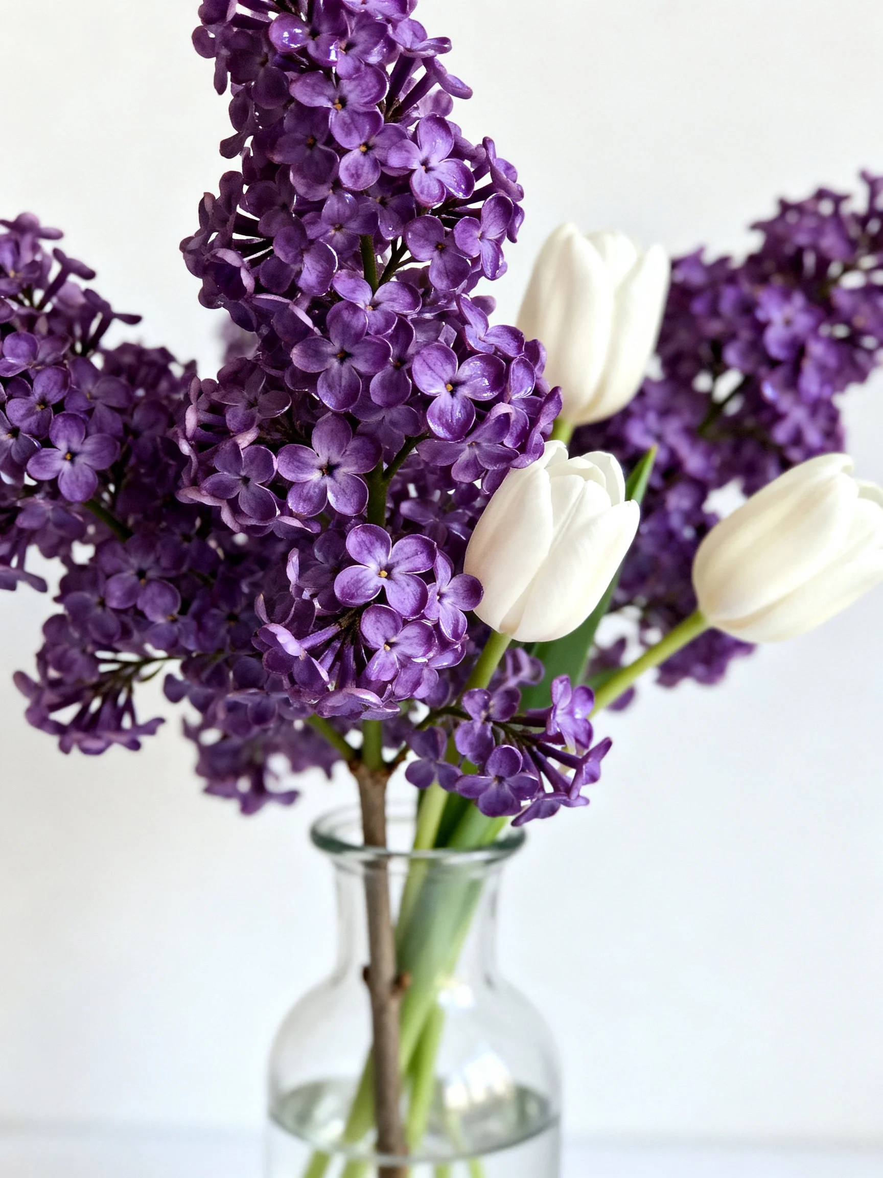 Purple lilacs and white tulips in a clear glass vase